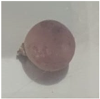 Polymers 16 00564 i007