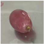 Polymers 16 00564 i009