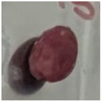 Polymers 16 00564 i011