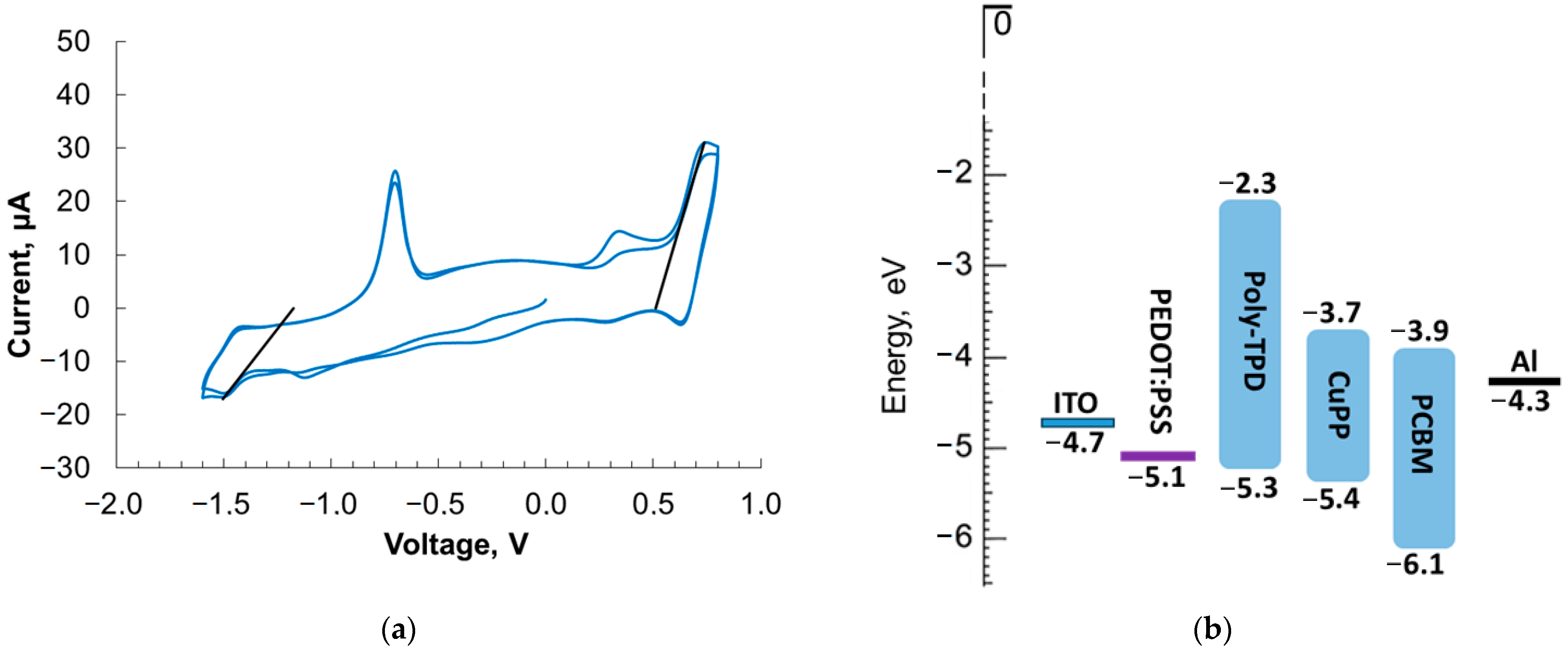 Polymers 16 00570 g002