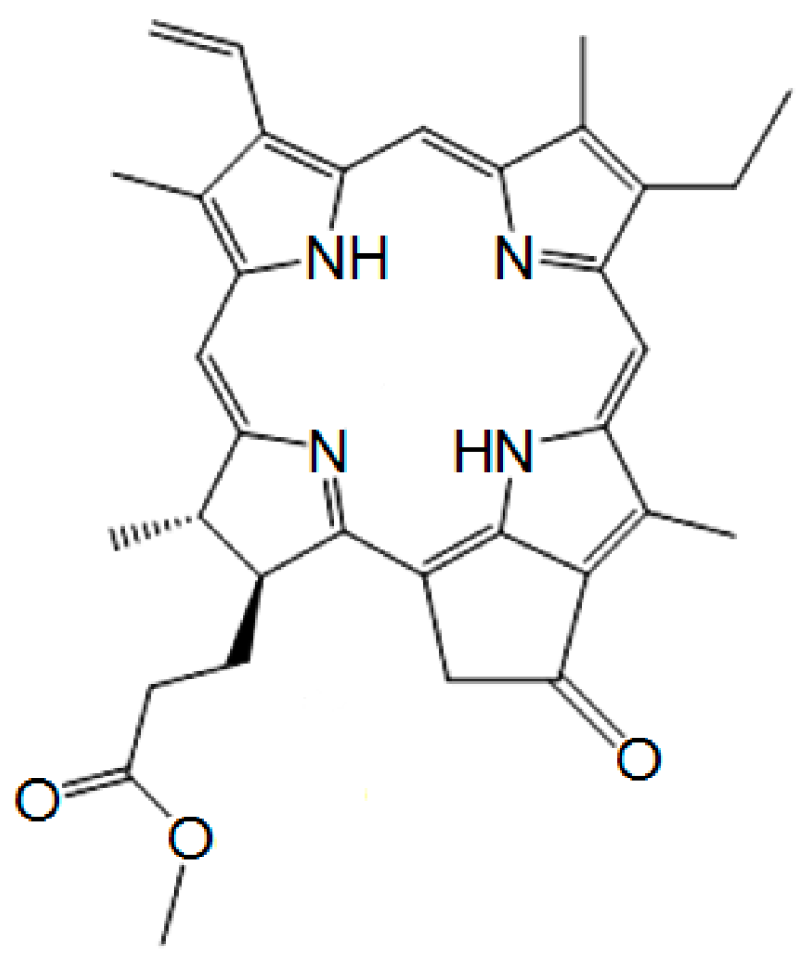 Polymers 16 00570 g0a1