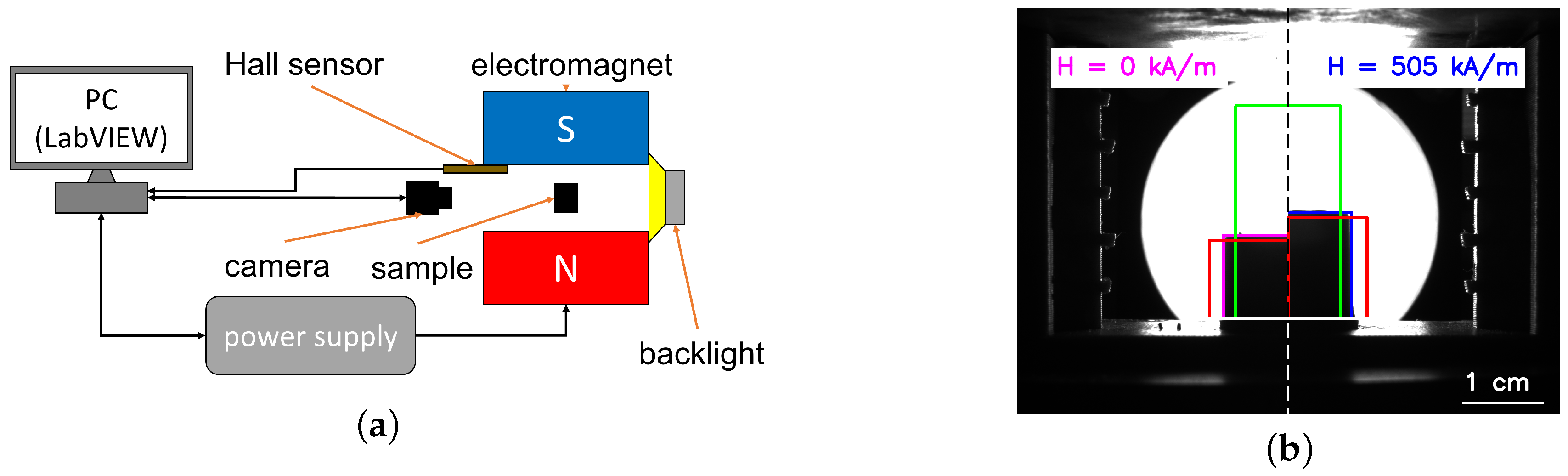 Polymers 16 00586 g001