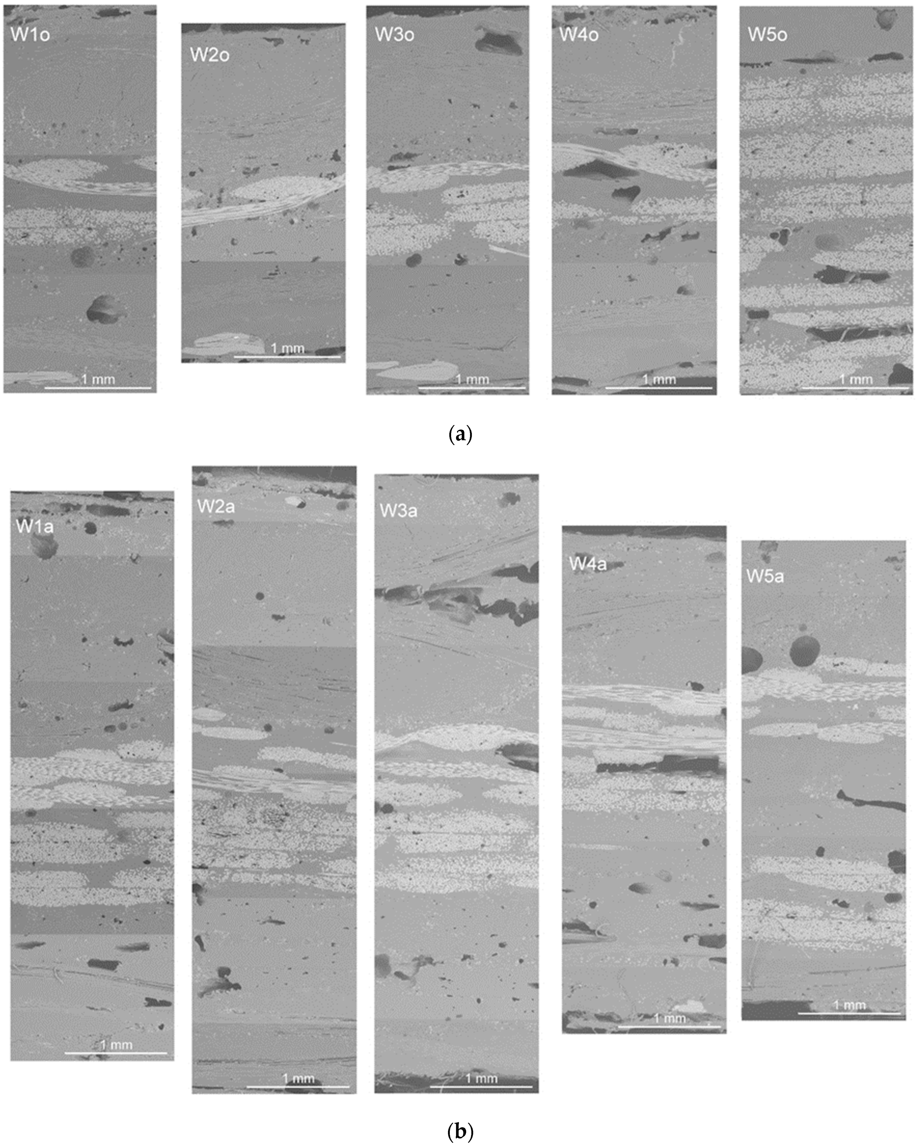 Polymers 16 00591 g002