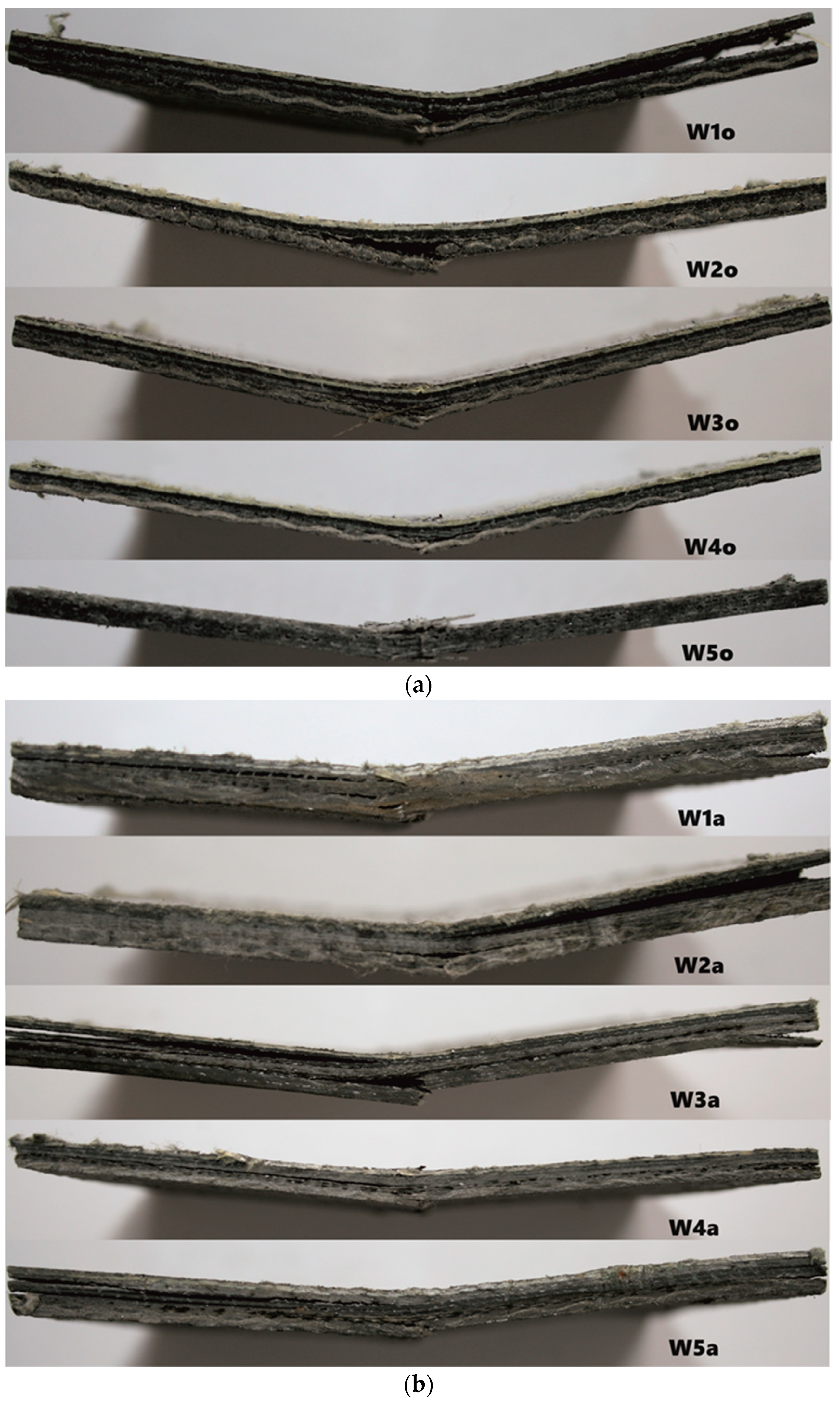 Polymers 16 00591 g005
