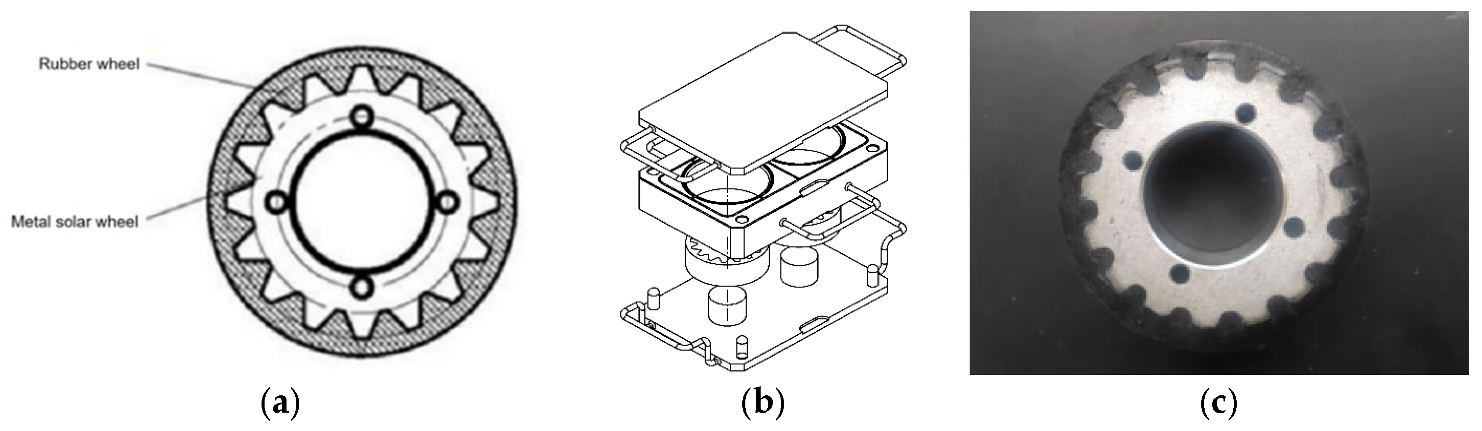Polymers 16 00596 g005