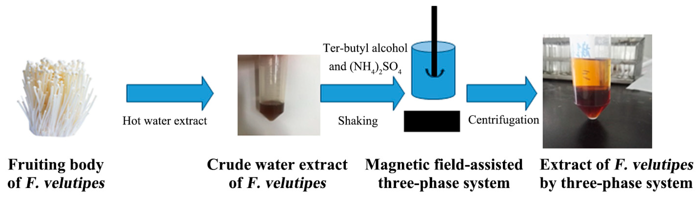 Polymers 16 00598 g001