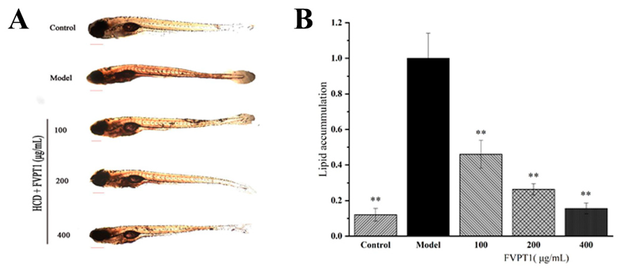 Polymers 16 00598 g007