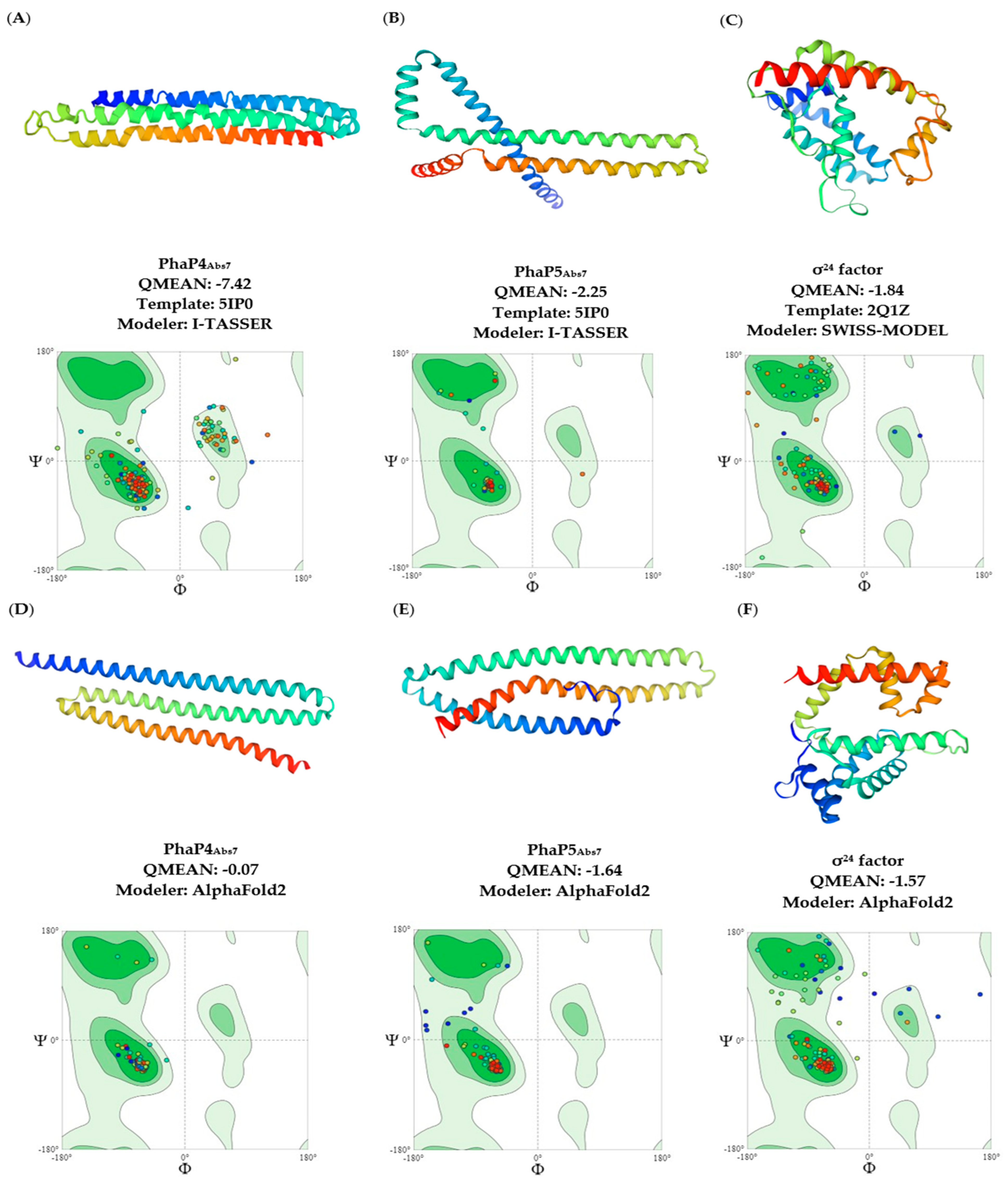 Polymers 16 00611 g002