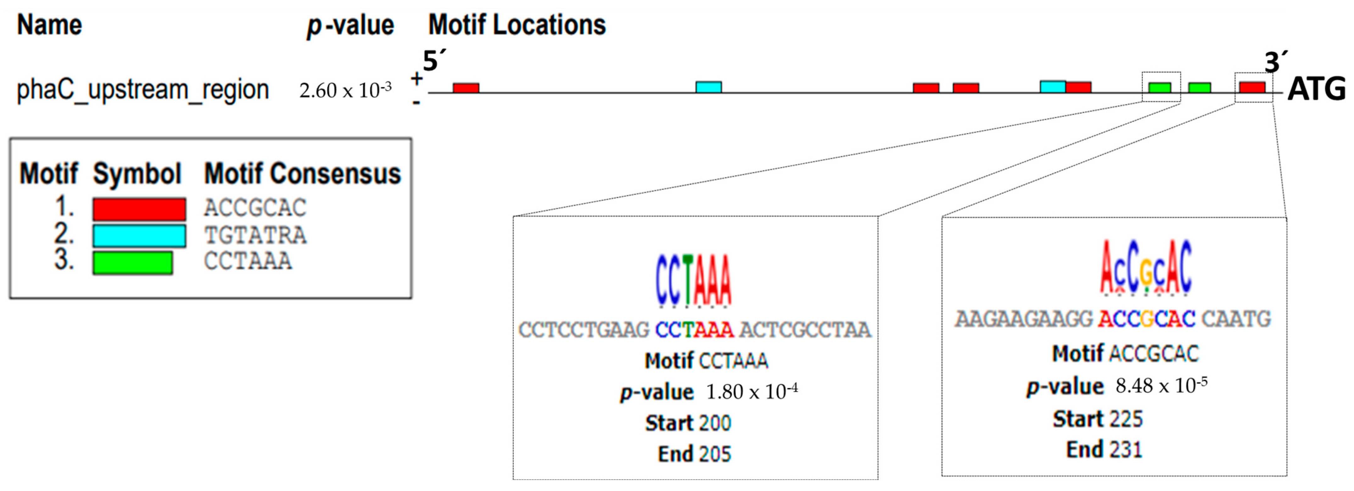 Polymers 16 00611 g003