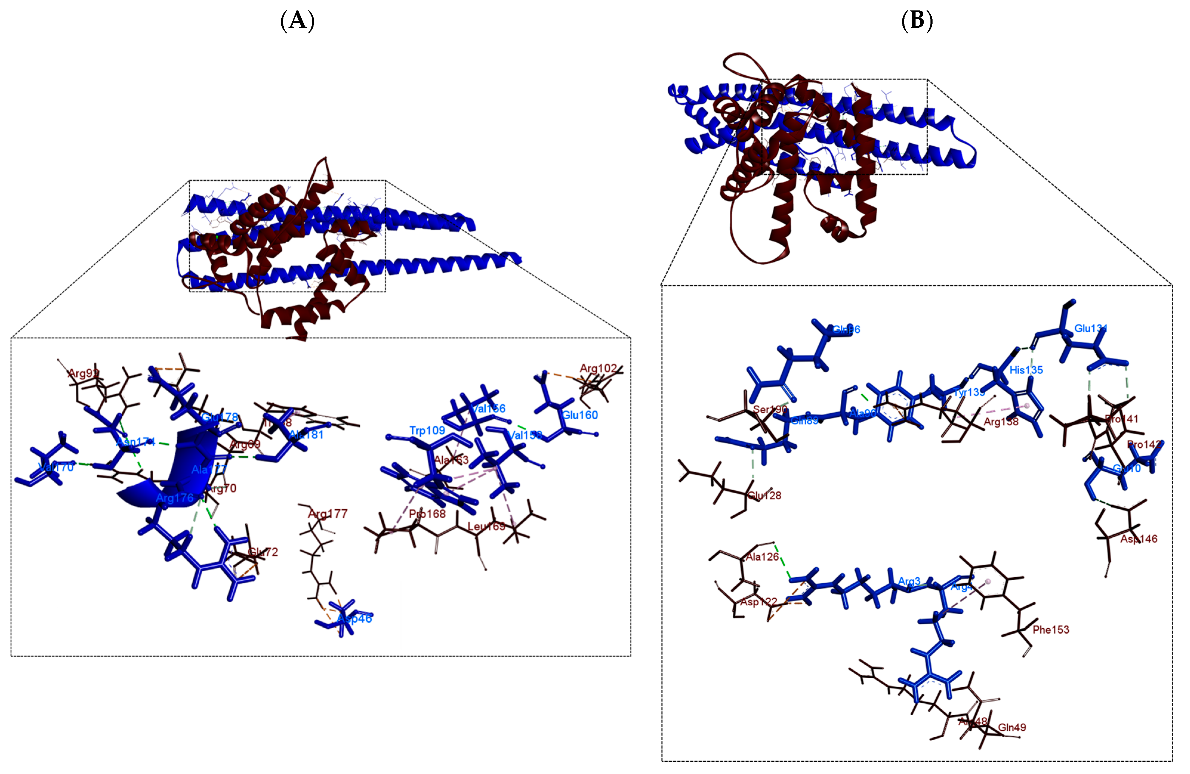 Polymers 16 00611 g004