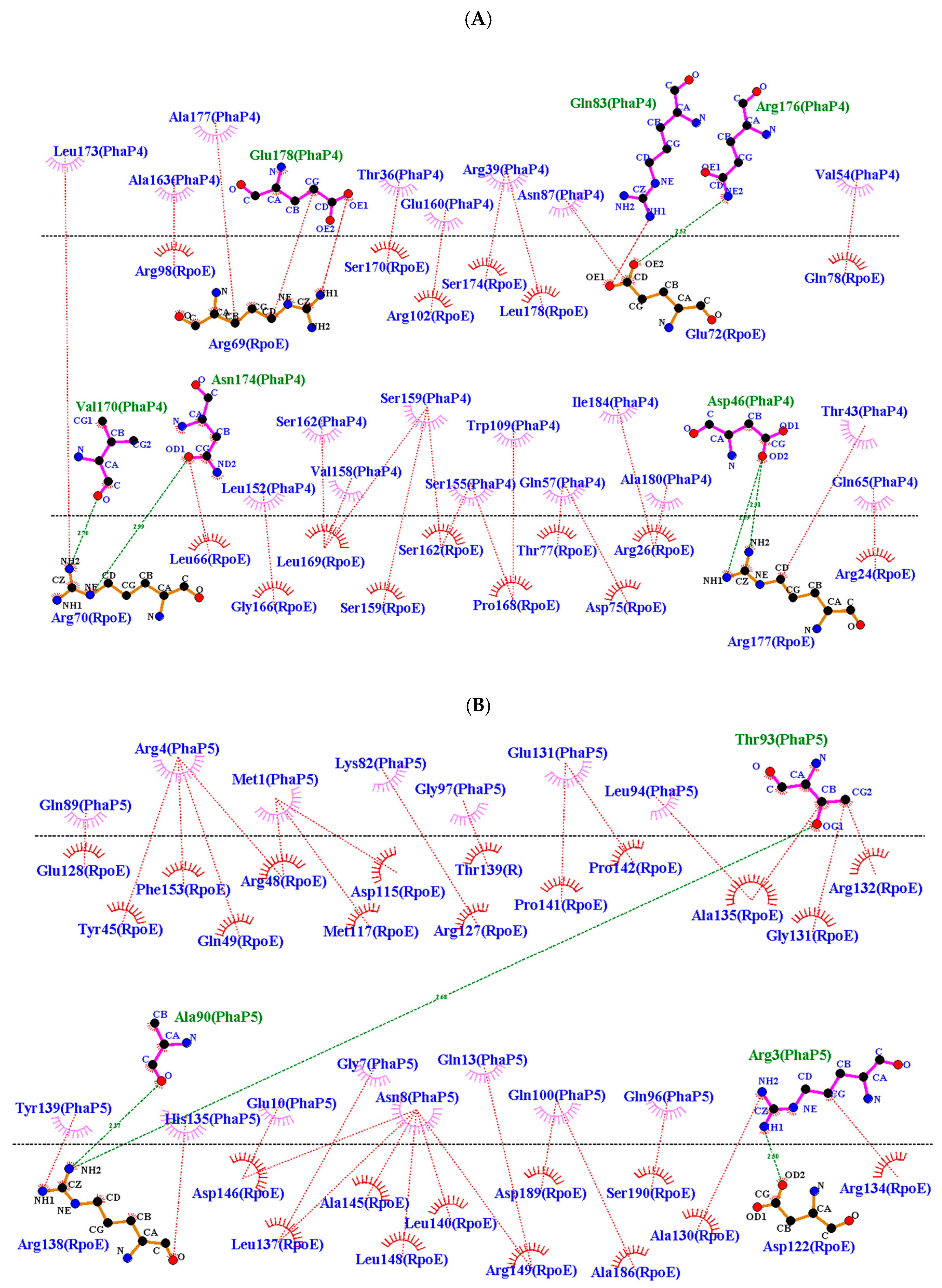 Polymers 16 00611 g005
