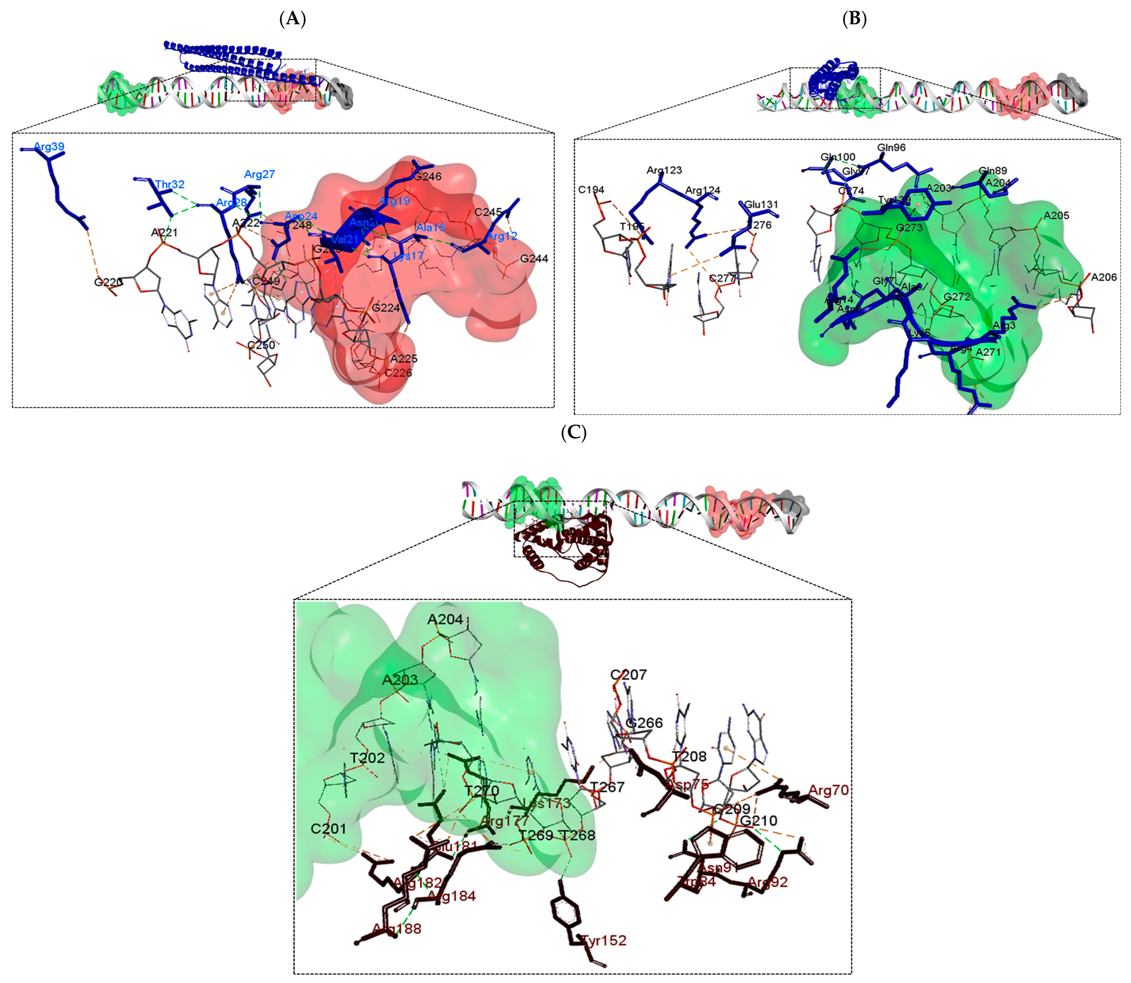 Polymers 16 00611 g006