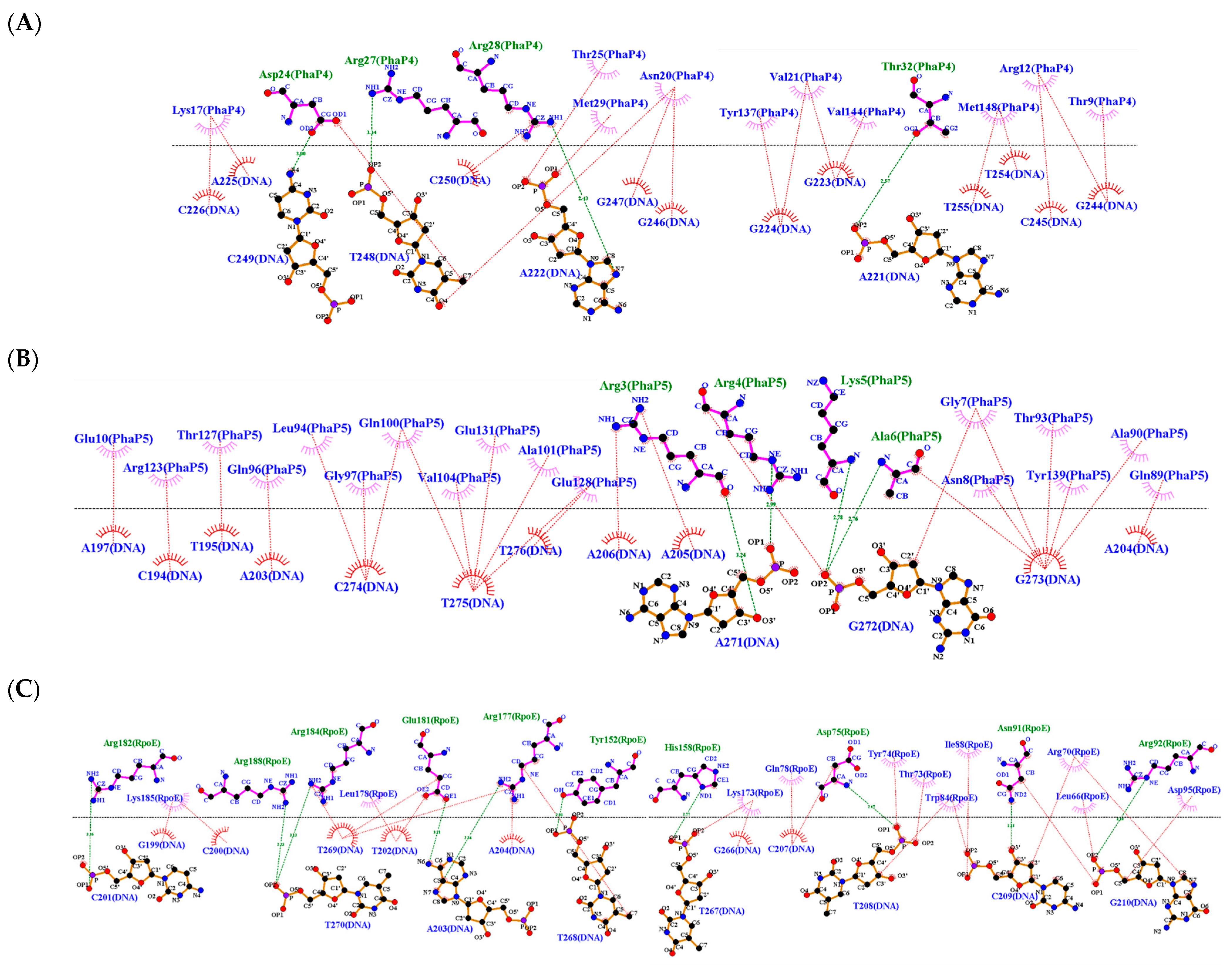 Polymers 16 00611 g007