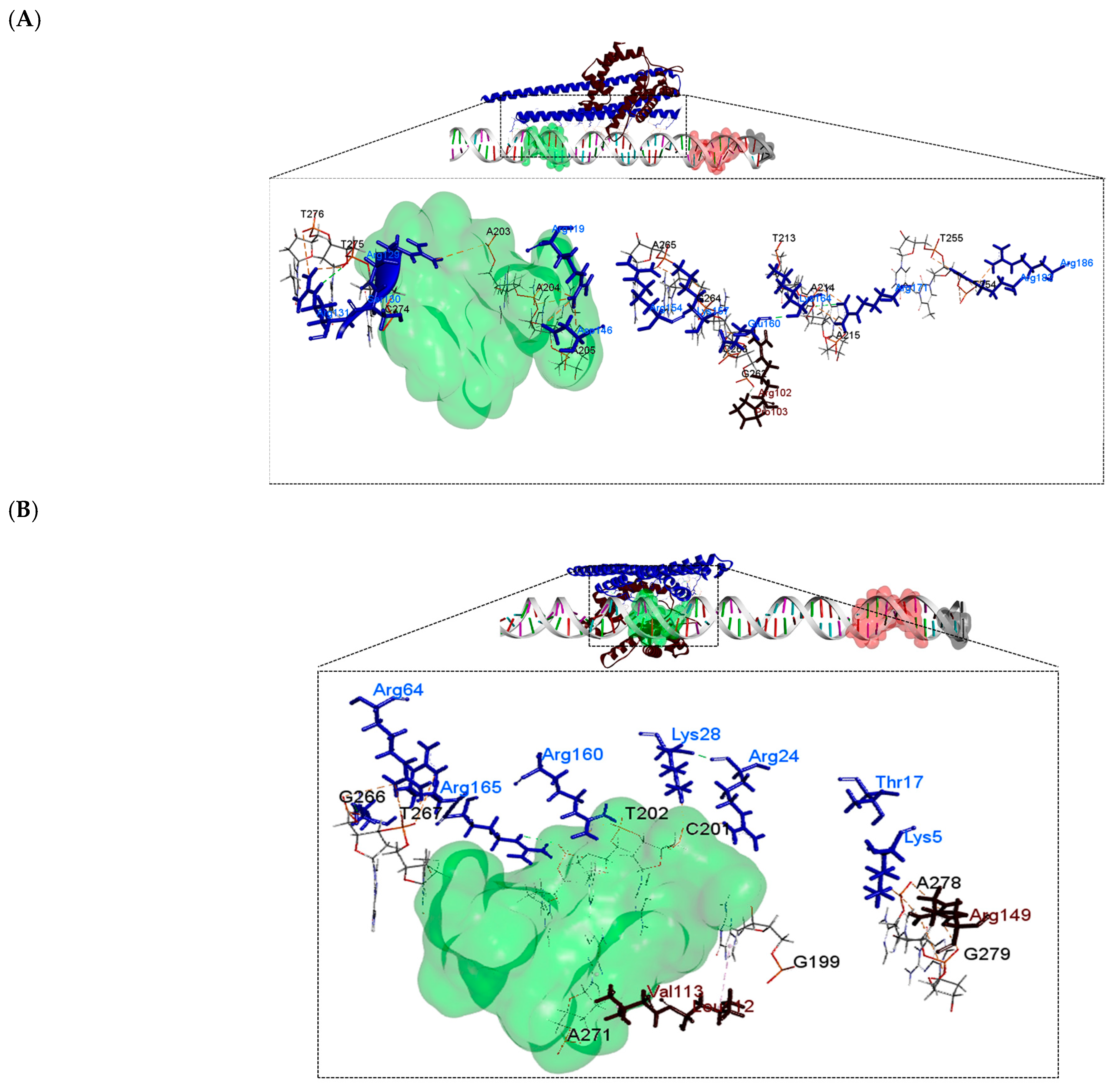 Polymers 16 00611 g008