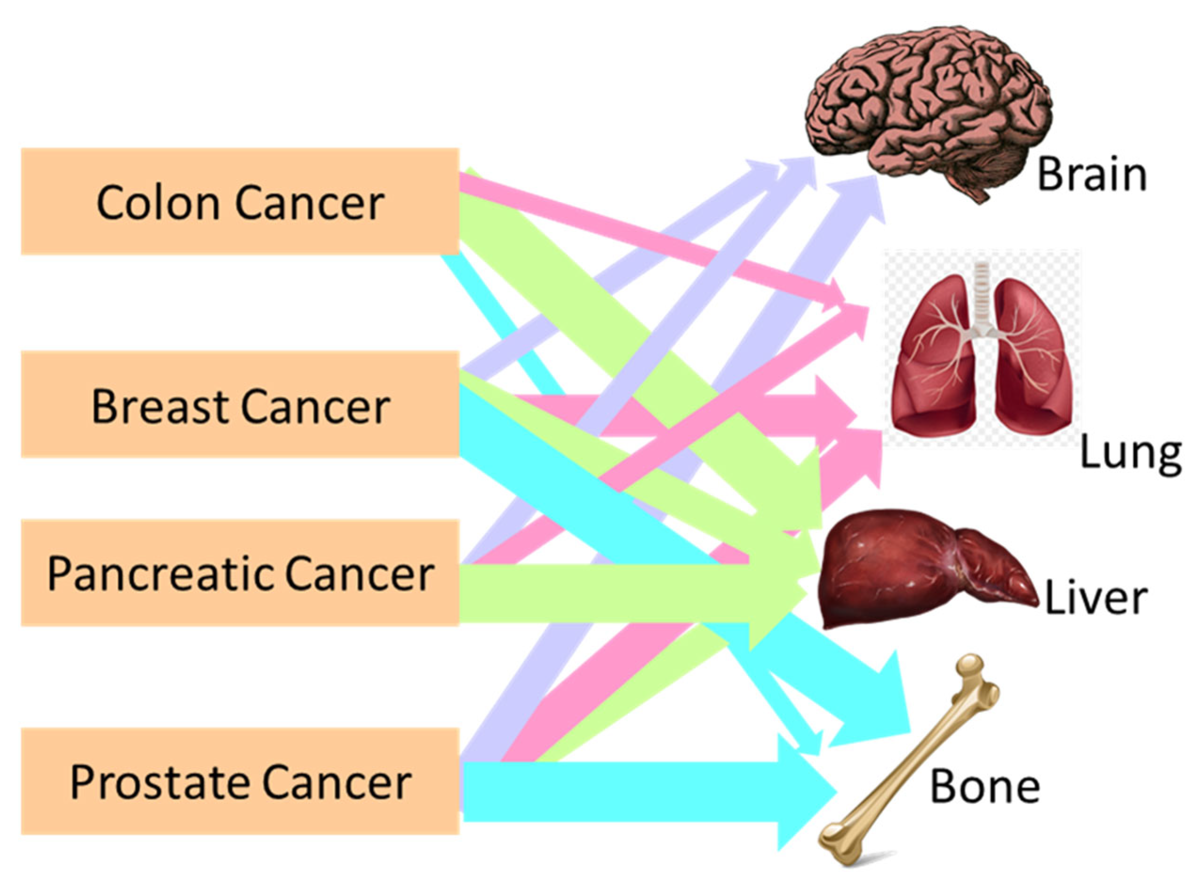 Polymers 16 00617 g001