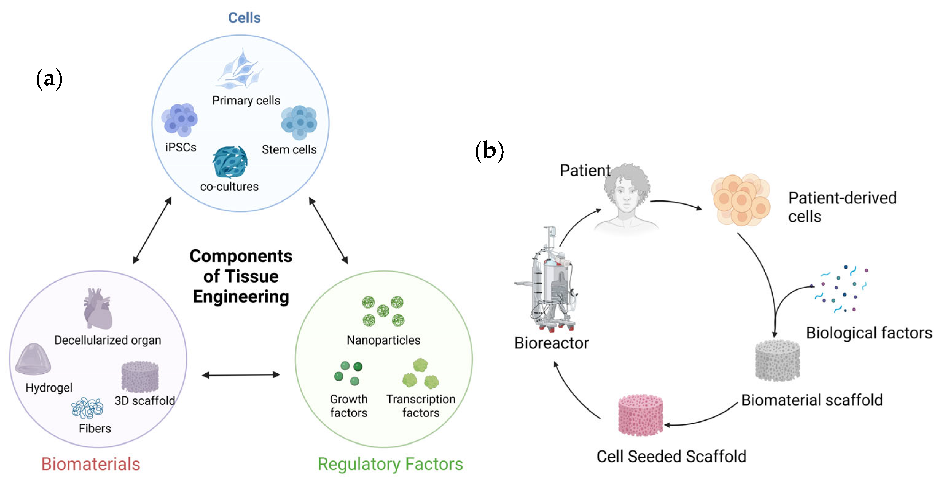 Polymers 16 00617 g002