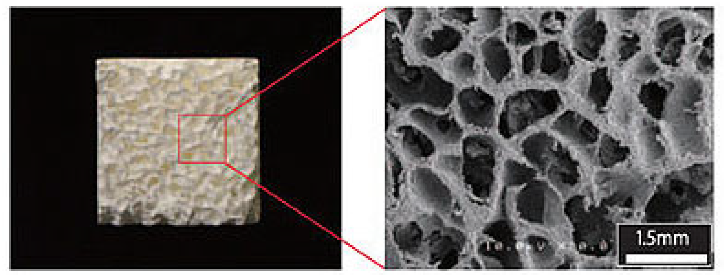 Polymers 16 00617 g003