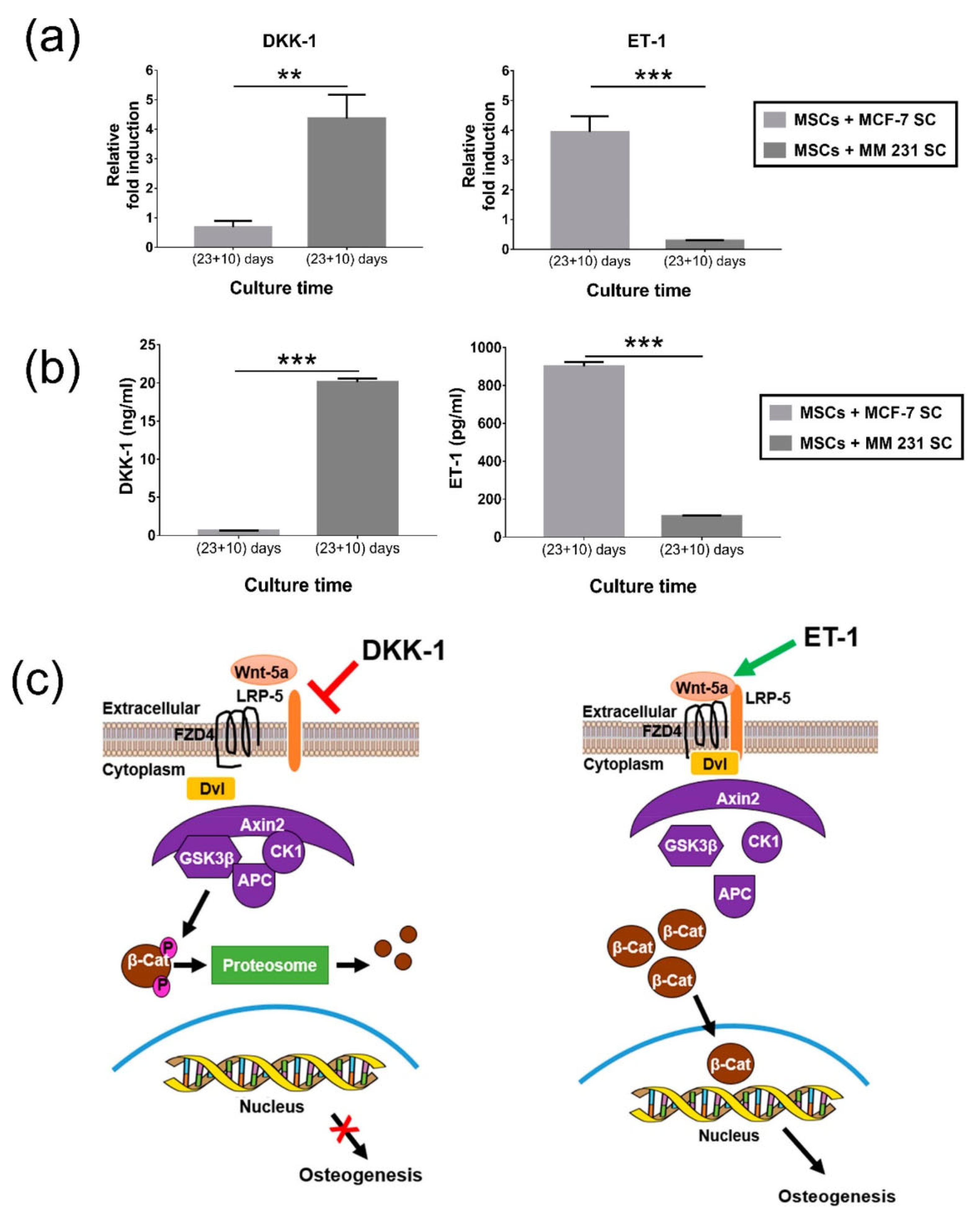 Polymers 16 00617 g004