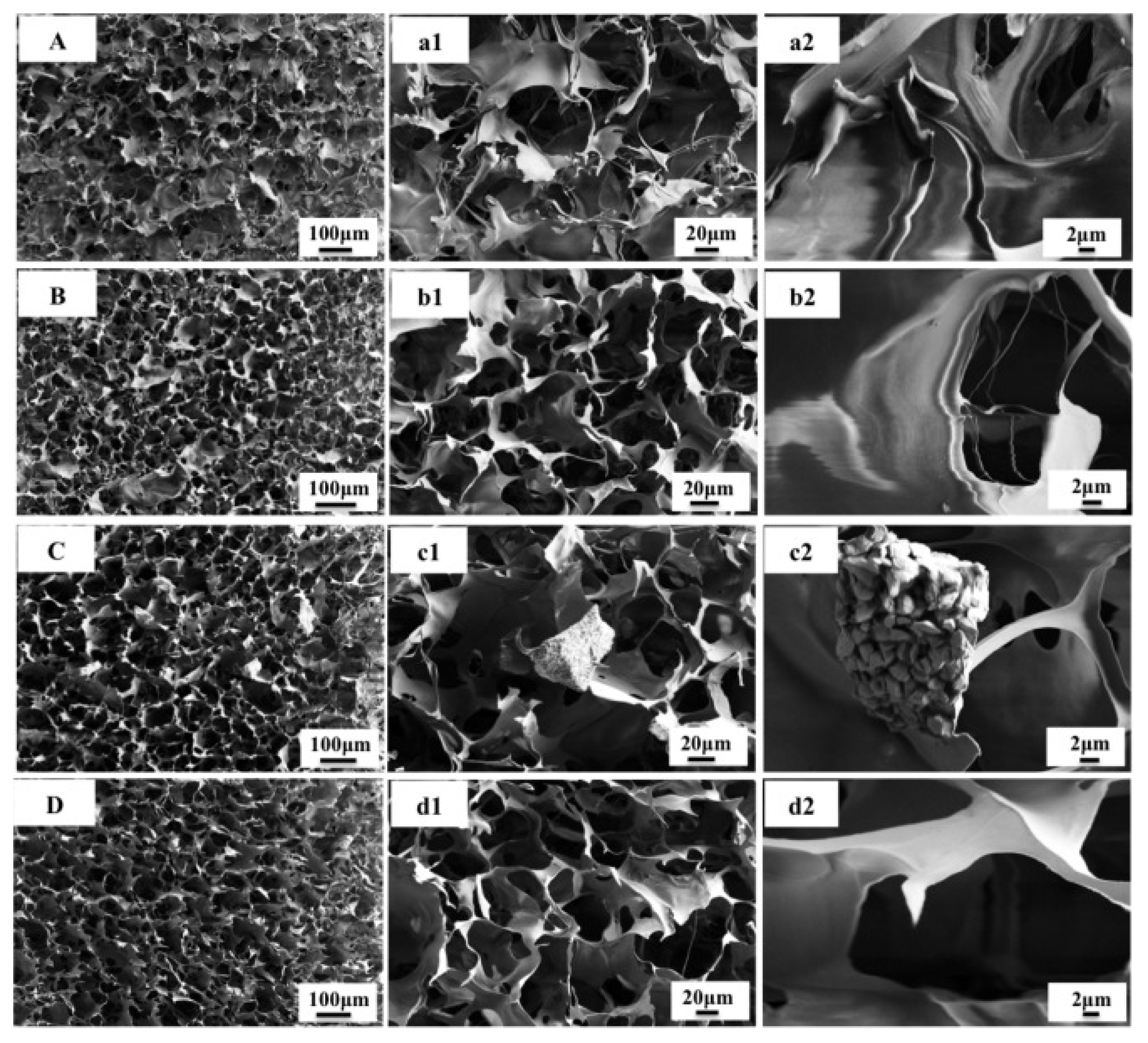 Polymers 16 00617 g007