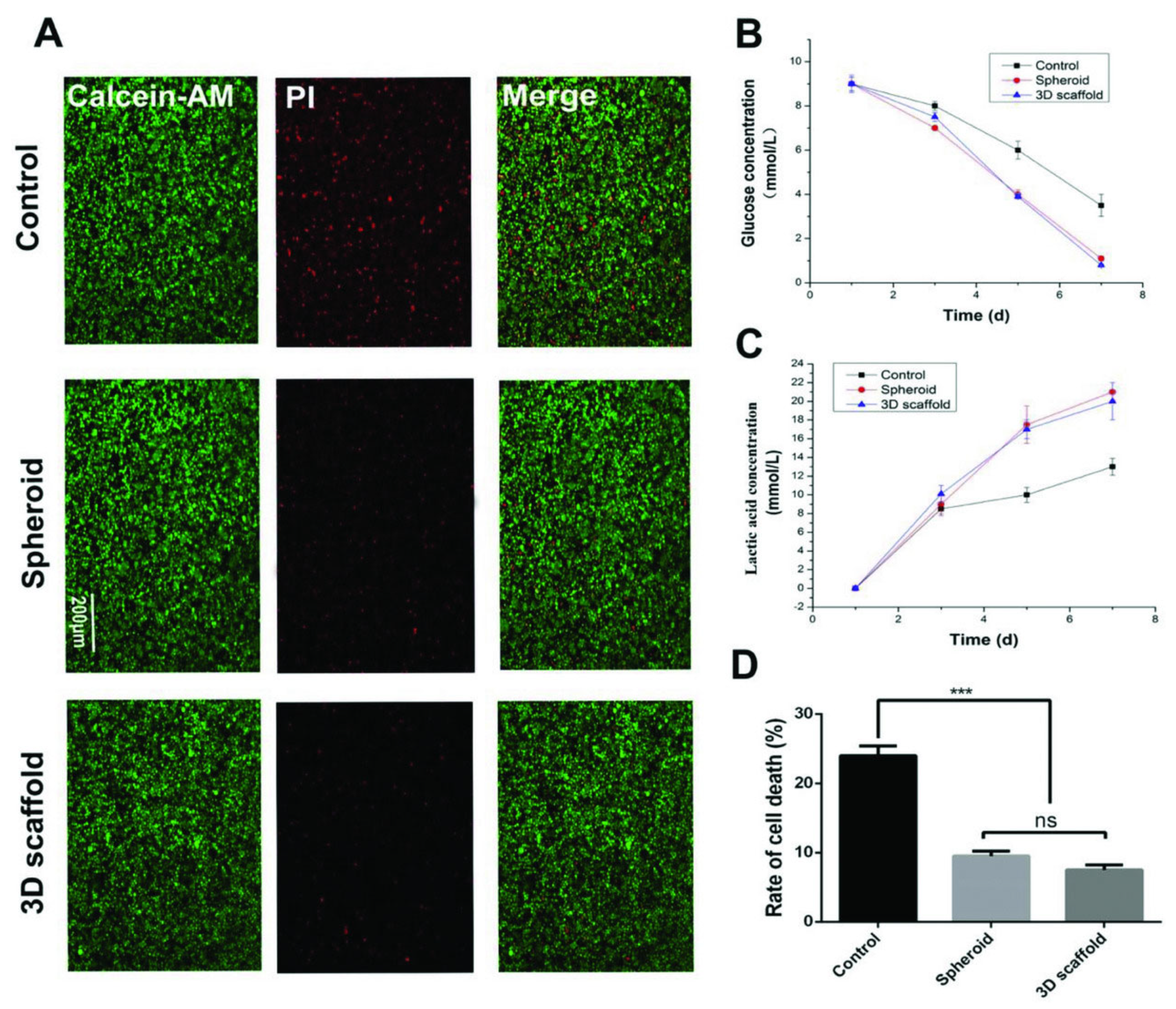 Polymers 16 00617 g011