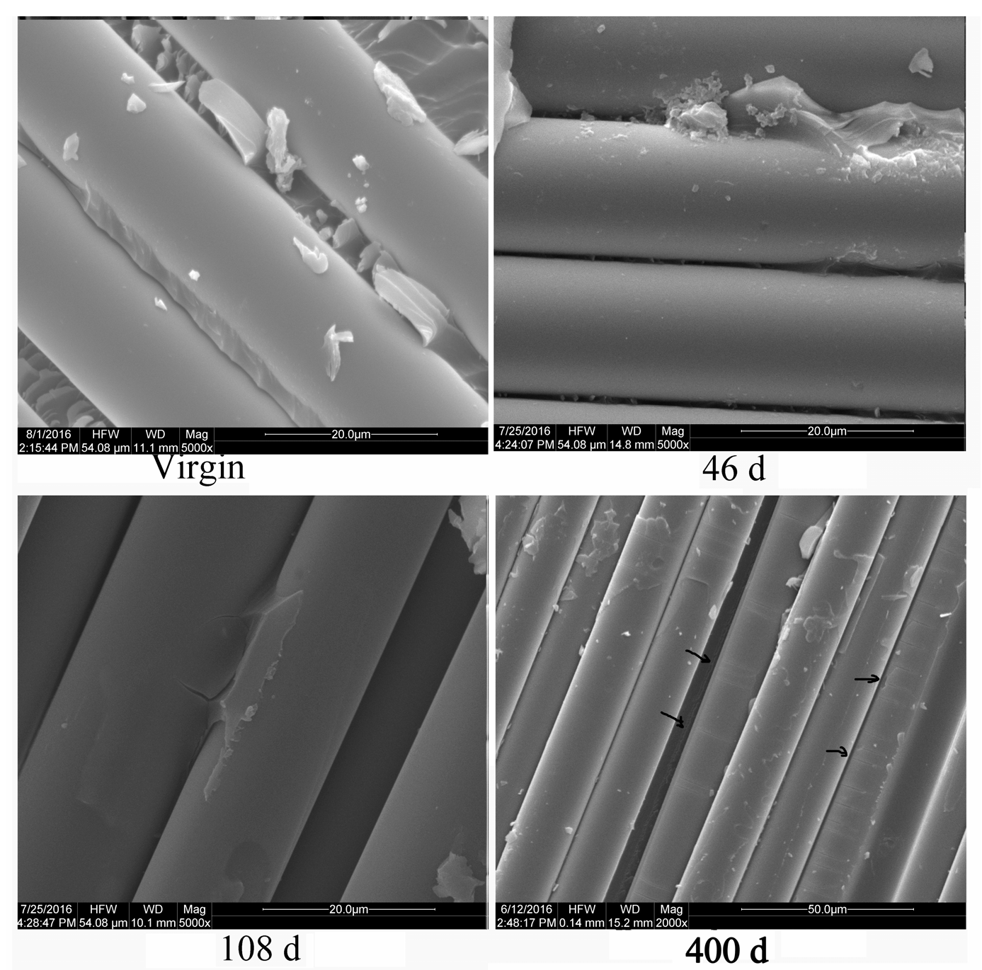 Polymers 16 00632 g017 Polymers 16 00632 g017