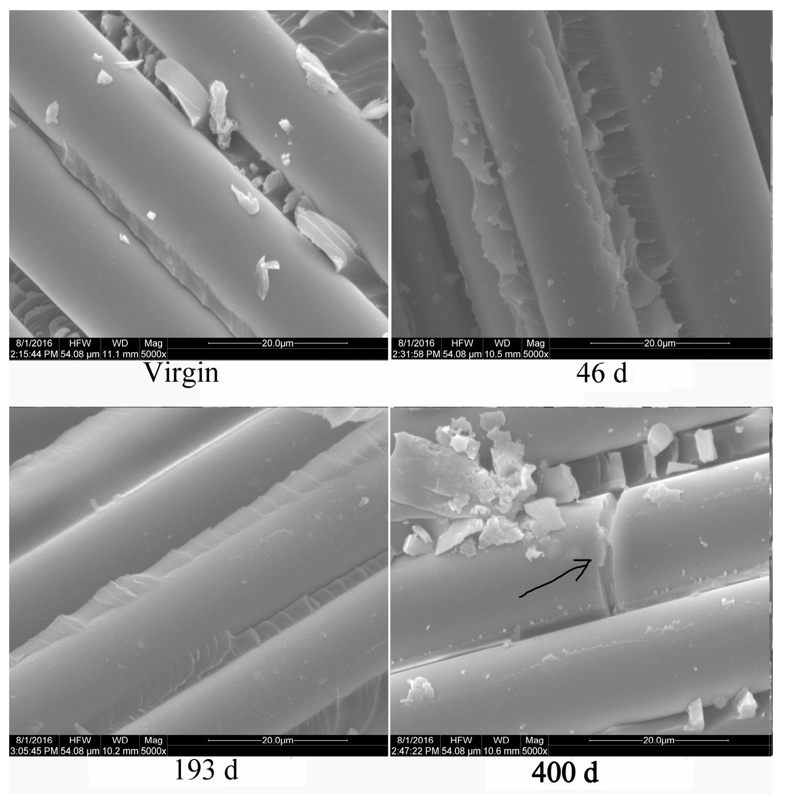 Polymers 16 00632 g018 Polymers 16 00632 g018