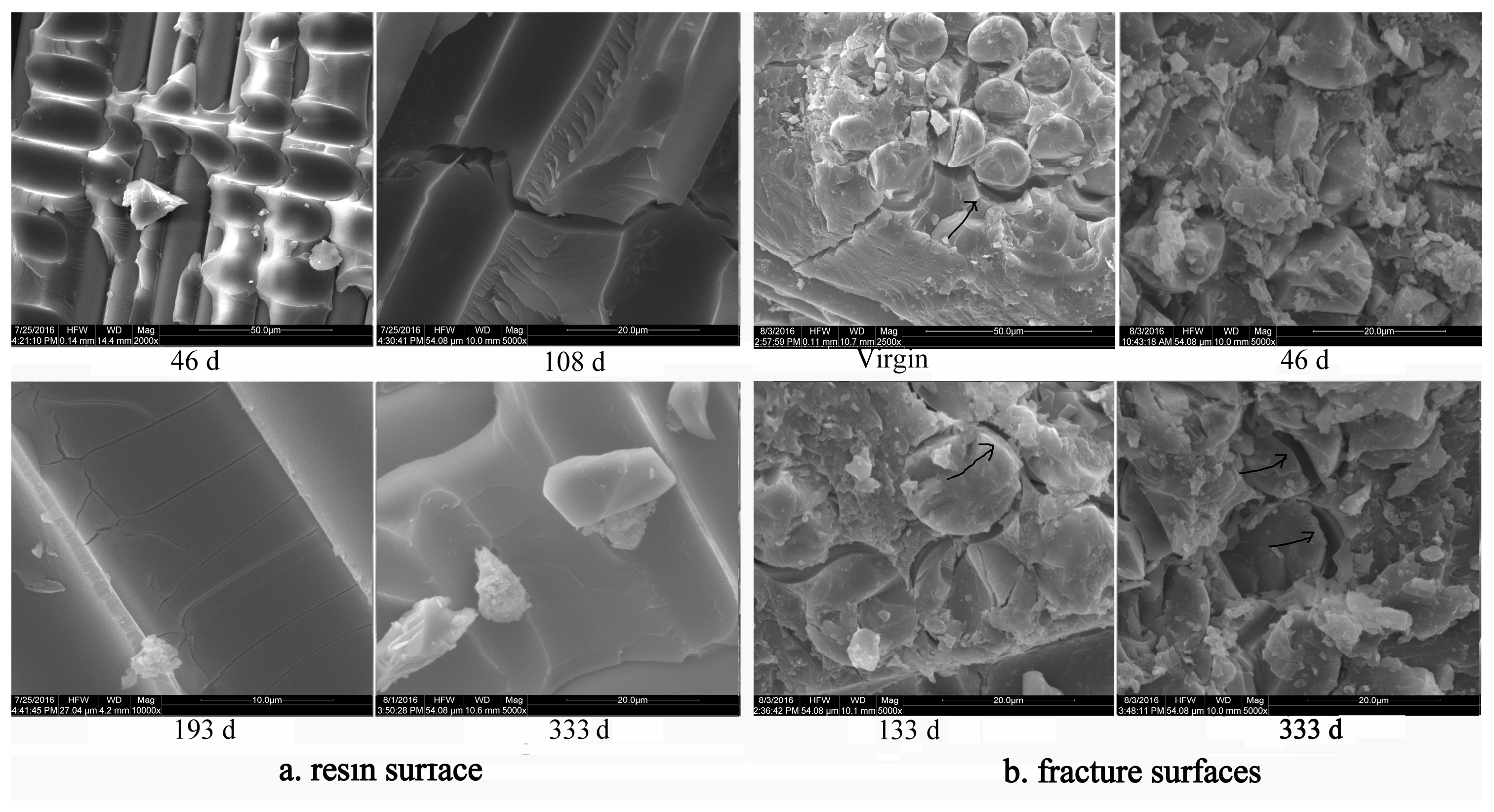 Polymers 16 00632 g019 Polymers 16 00632 g019