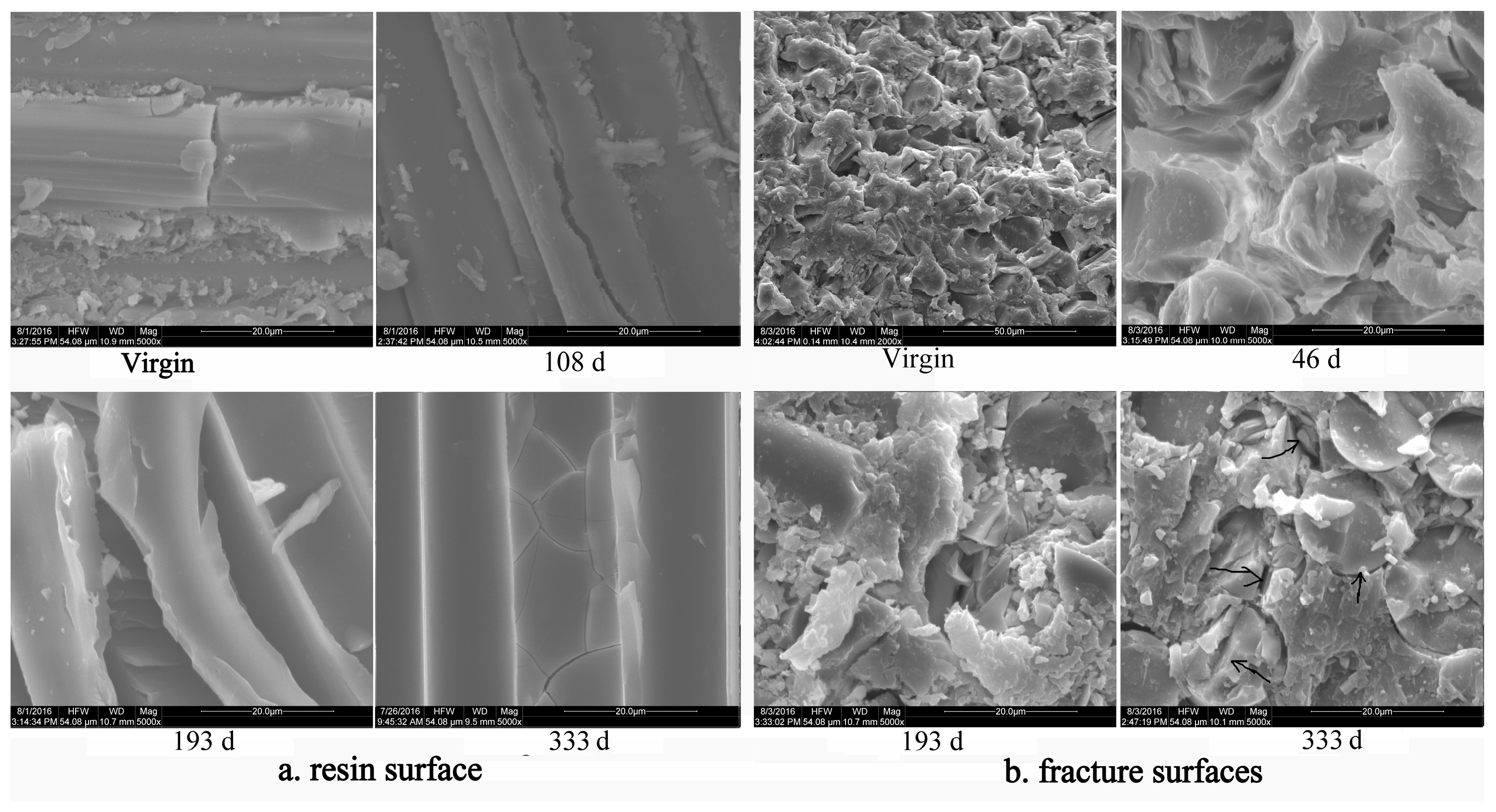 Polymers 16 00632 g020 Polymers 16 00632 g020