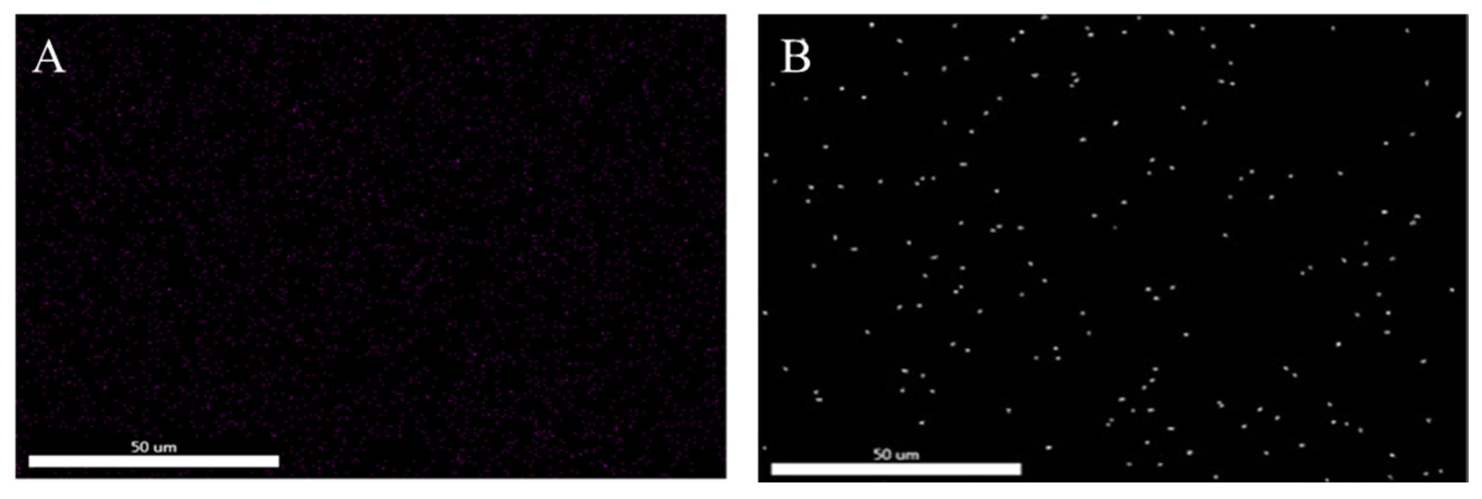 Polymers 16 00634 g002