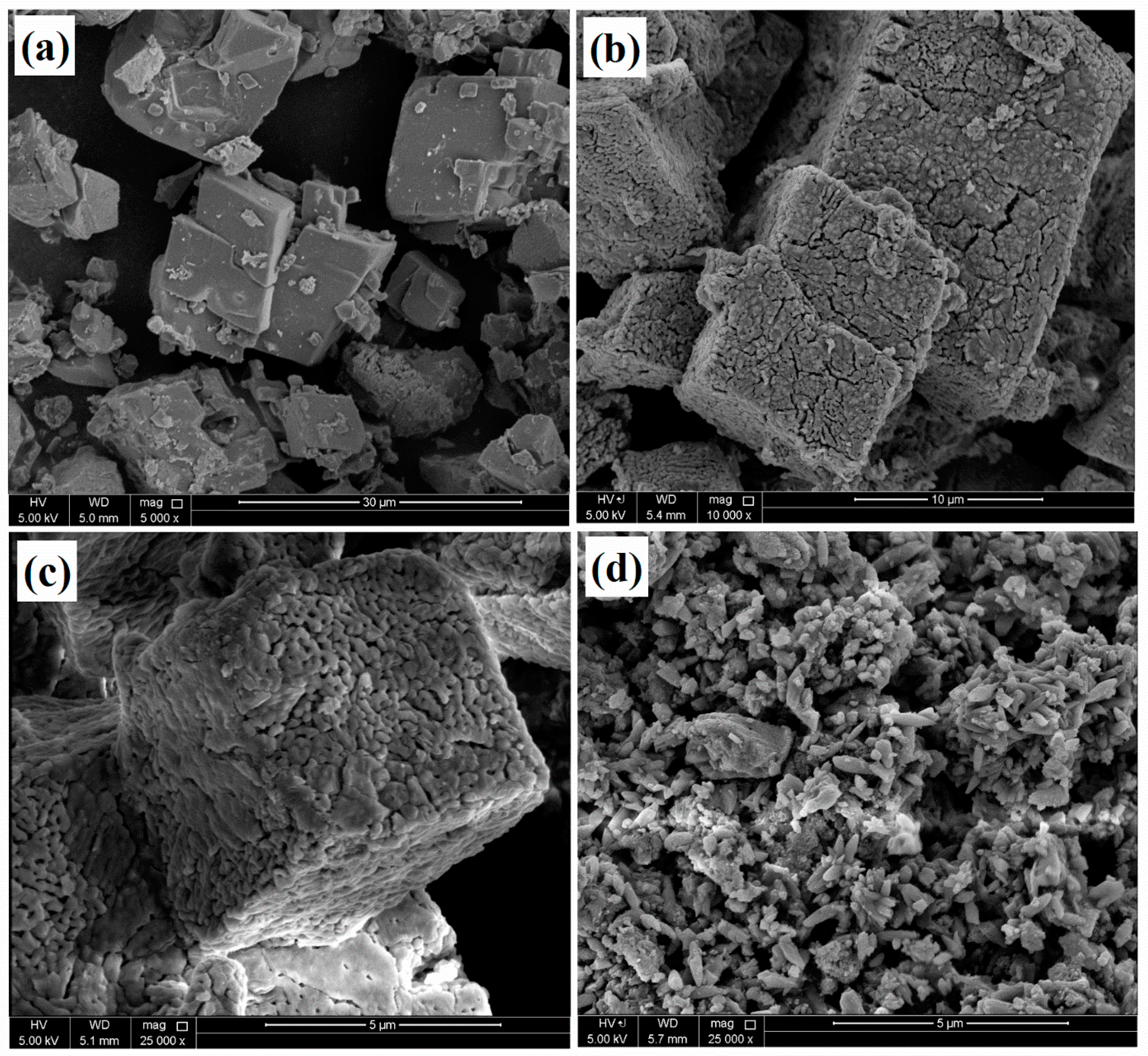 Polymers 16 00636 g002