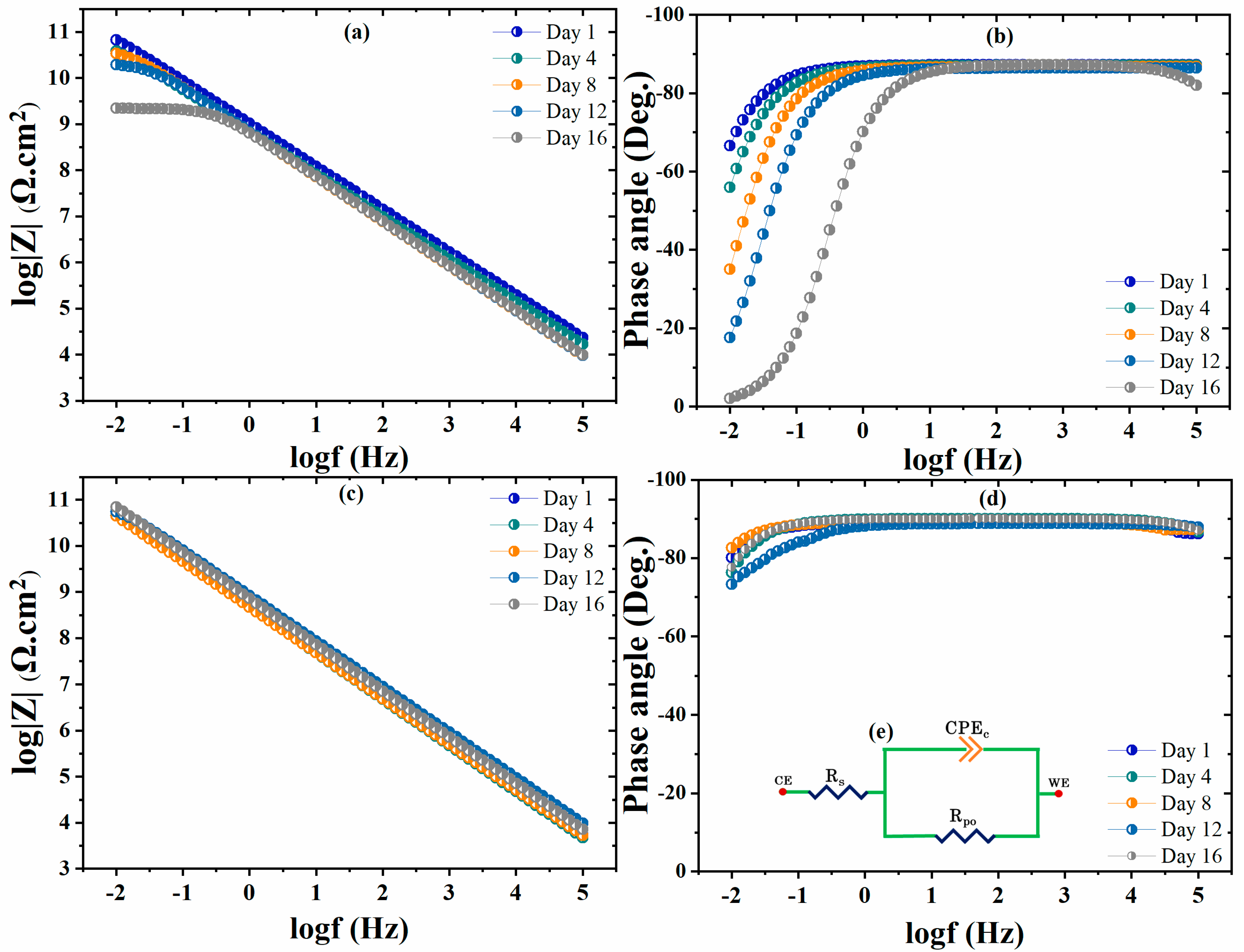 Polymers 16 00636 g005