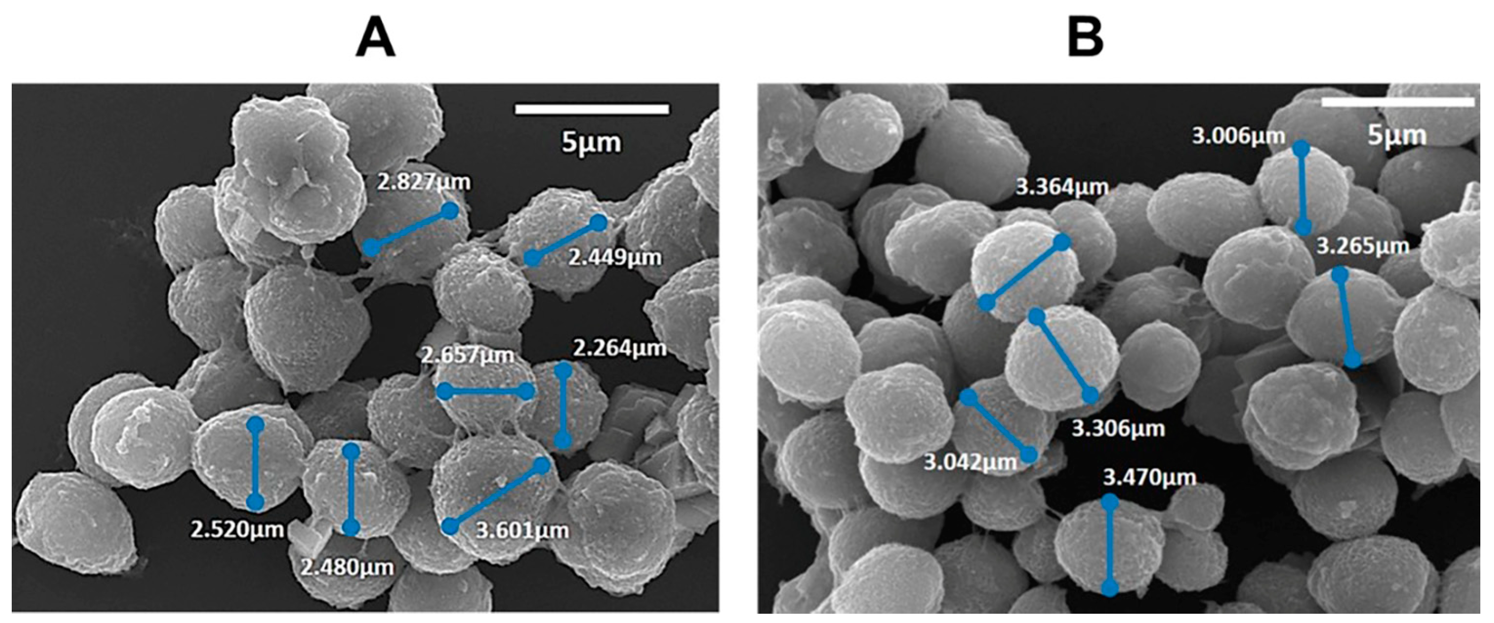 Polymers 16 00641 g003 Polymers 16 00641 g003