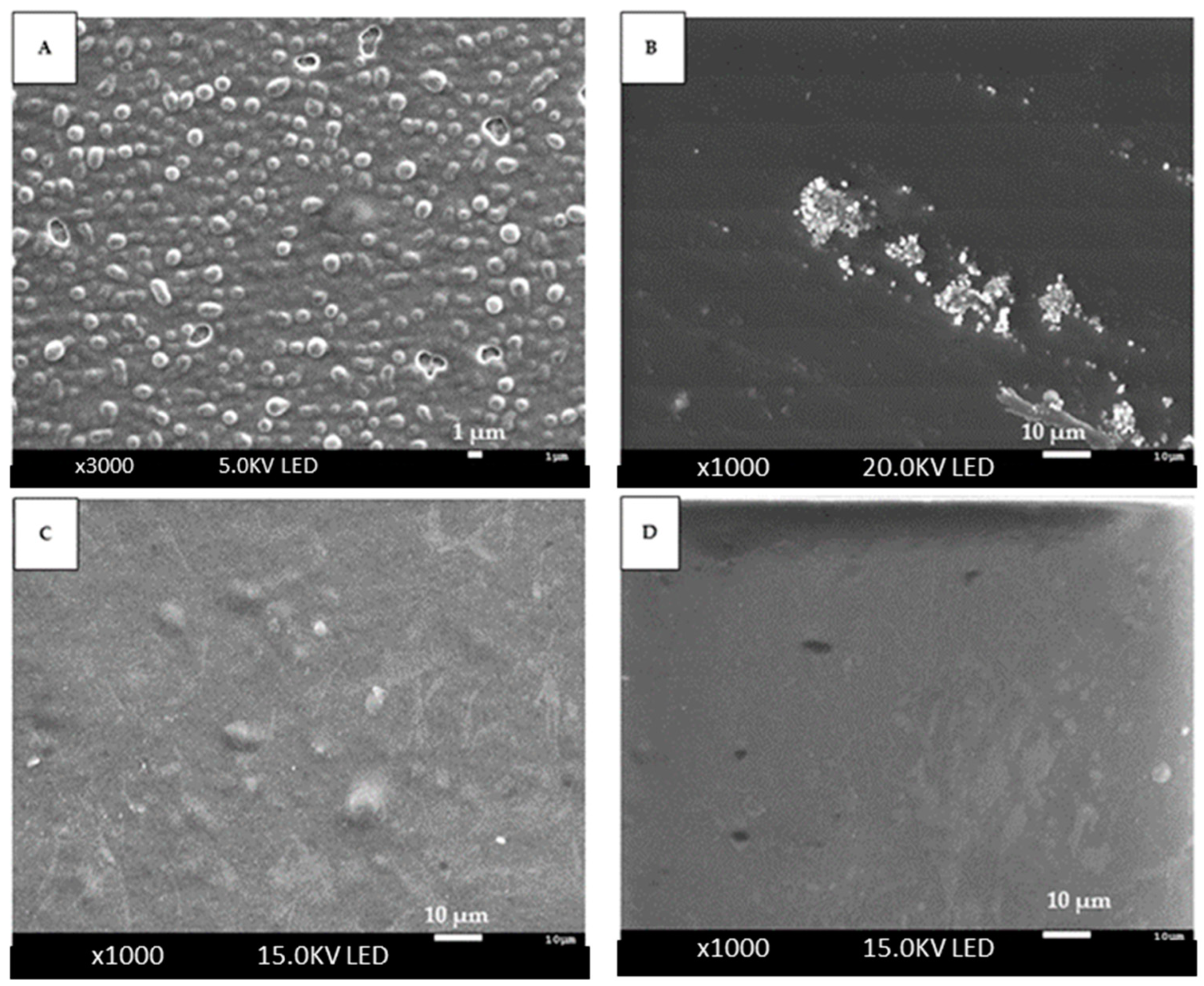 Polymers 16 00649 g001