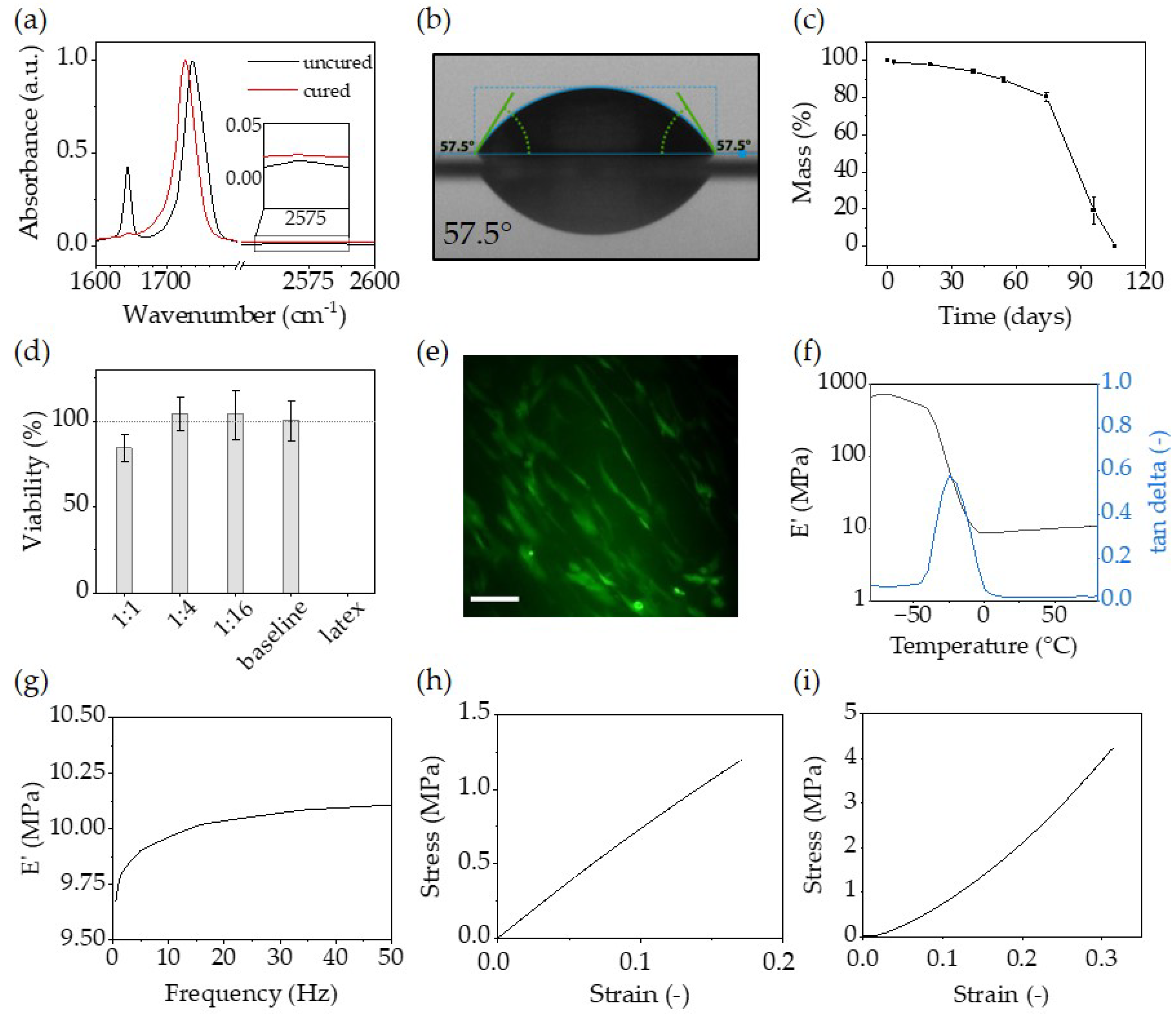 Polymers 16 00655 g006