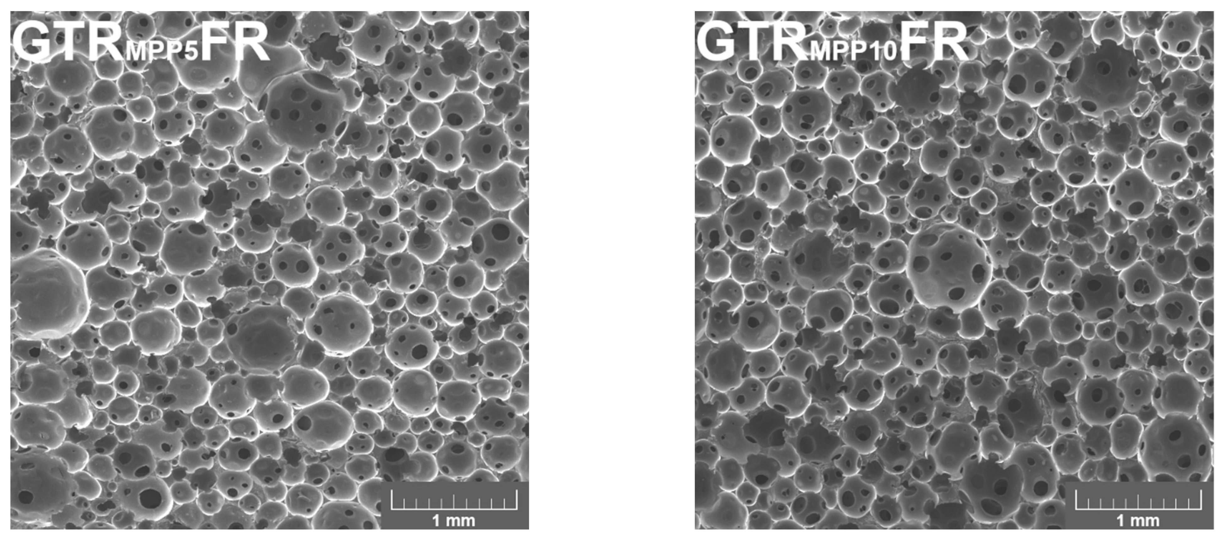 Polymers 16 00656 g002c