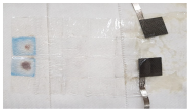 Polymers 16 00658 i004