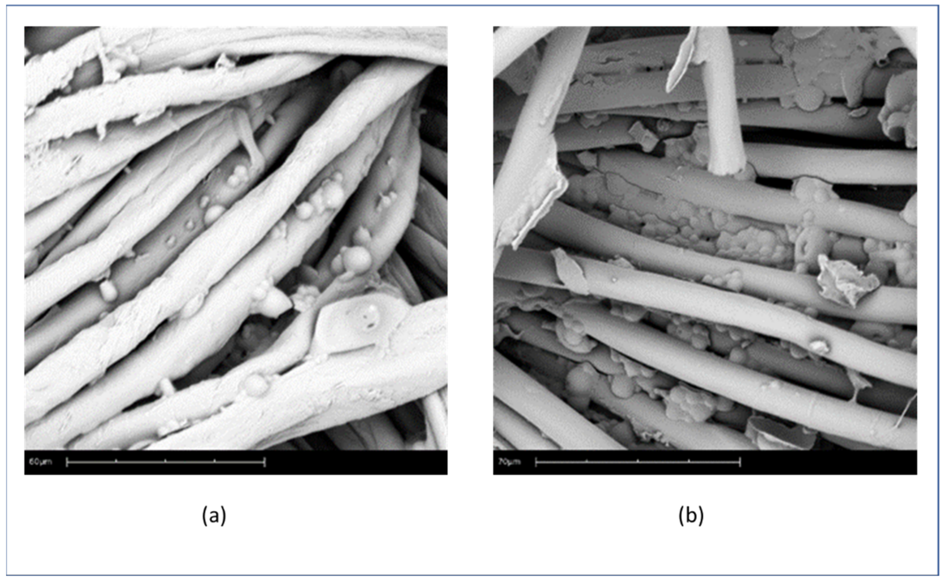 Polymers 16 00670 g003