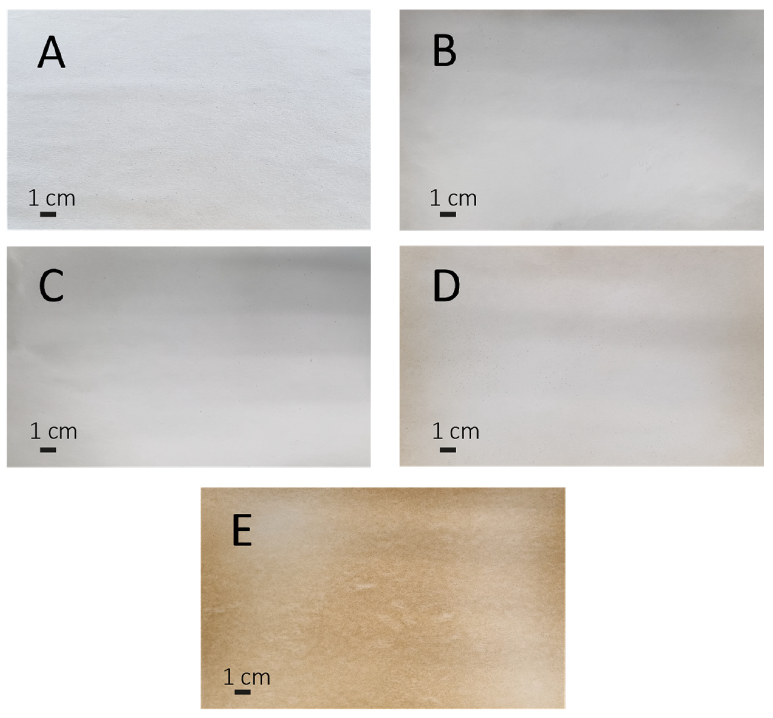 Polymers 16 00674 g001