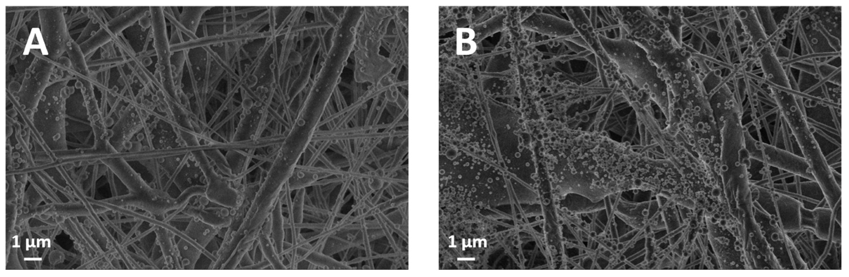 Polymers 16 00674 g004