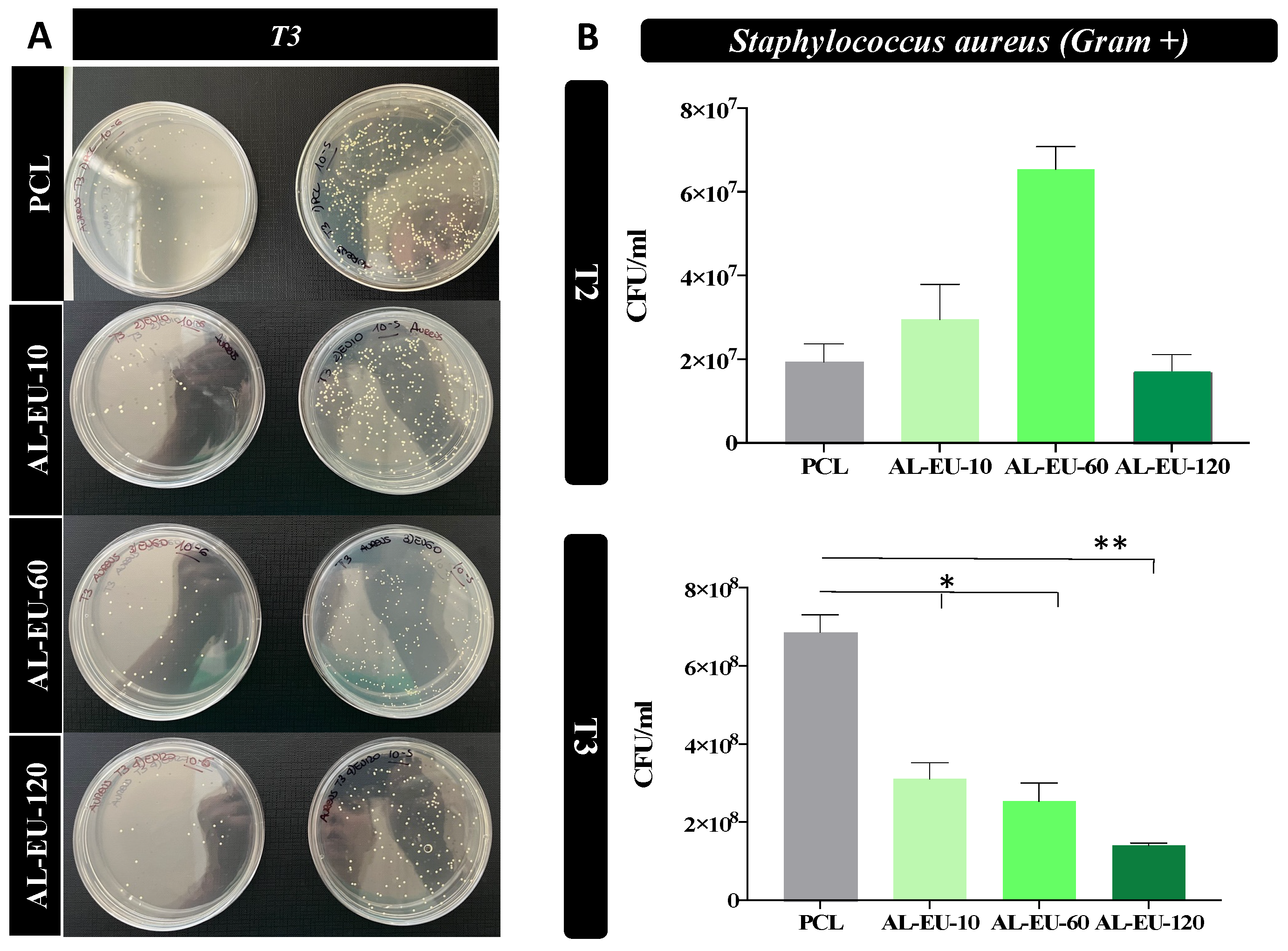 Polymers 16 00674 g012