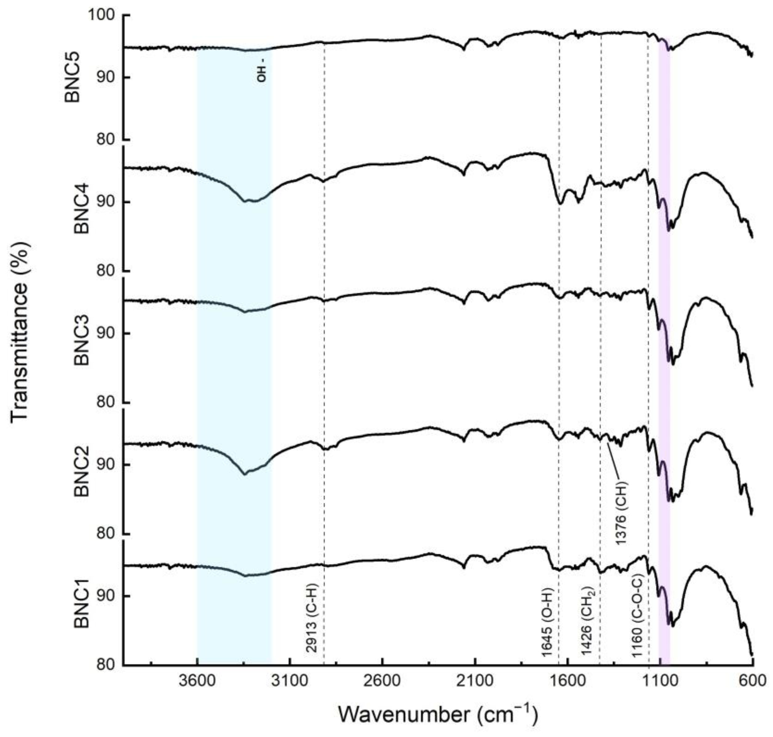 Polymers 16 00678 g004