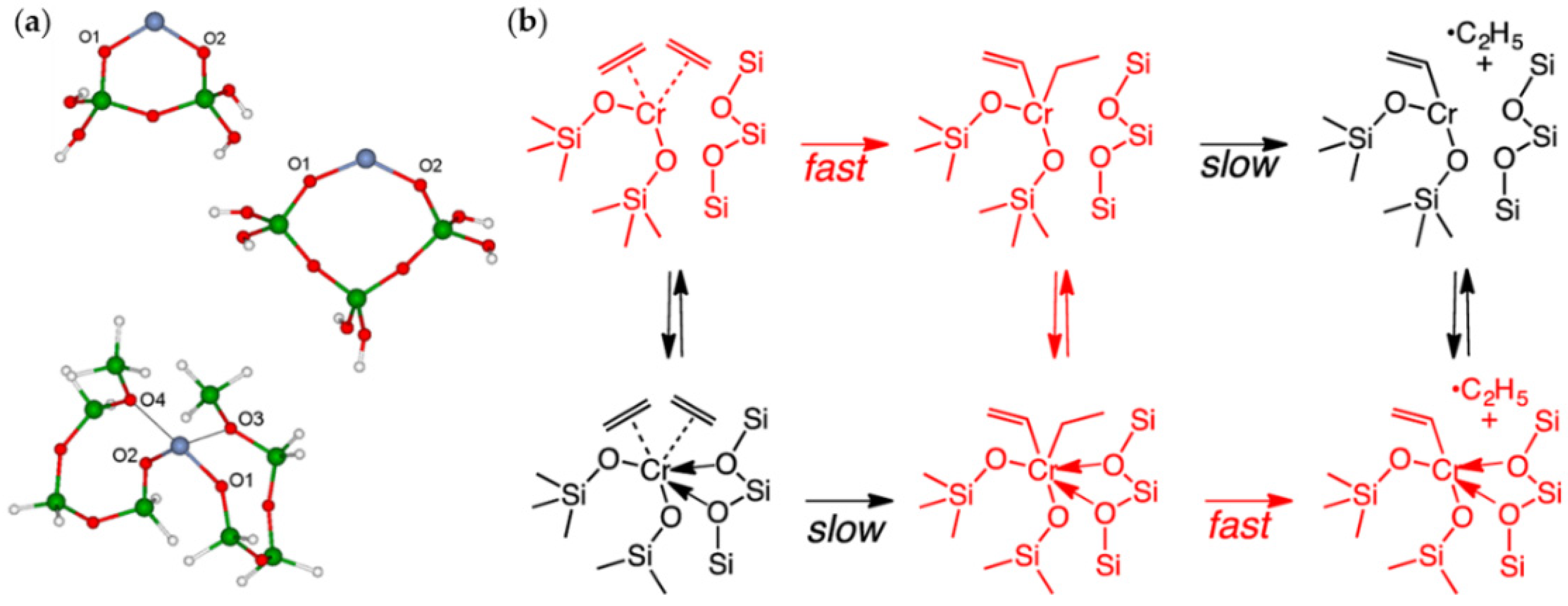 Polymers 16 00681 g024
