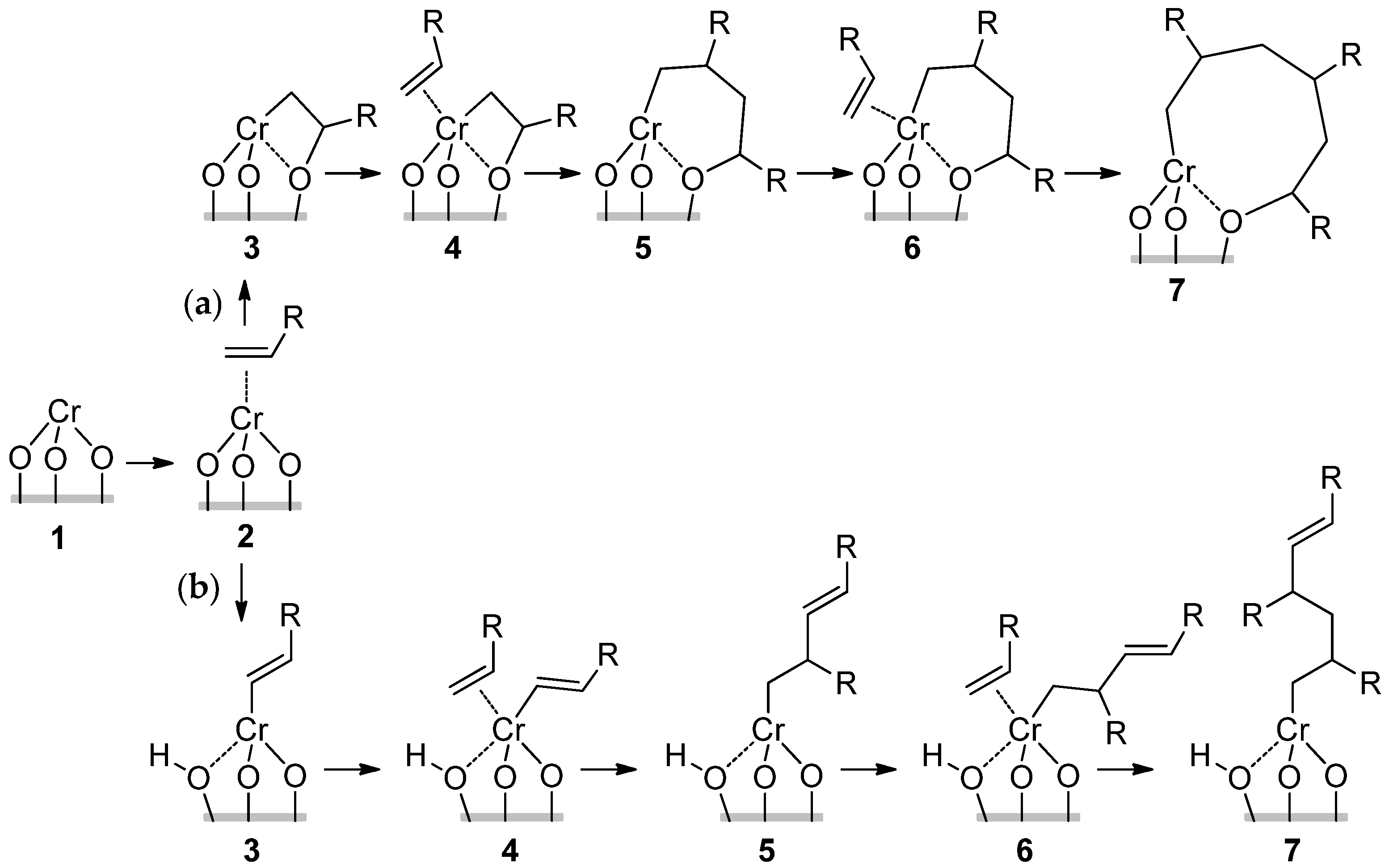 Polymers 16 00681 sch010