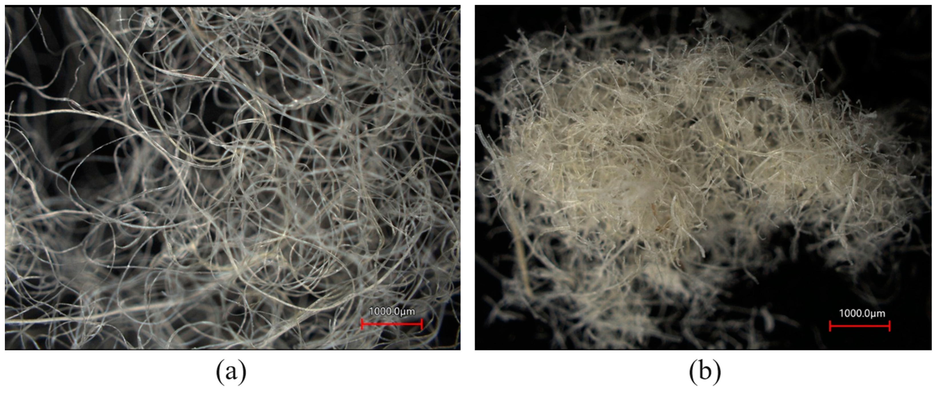 Polymers 16 00690 g001