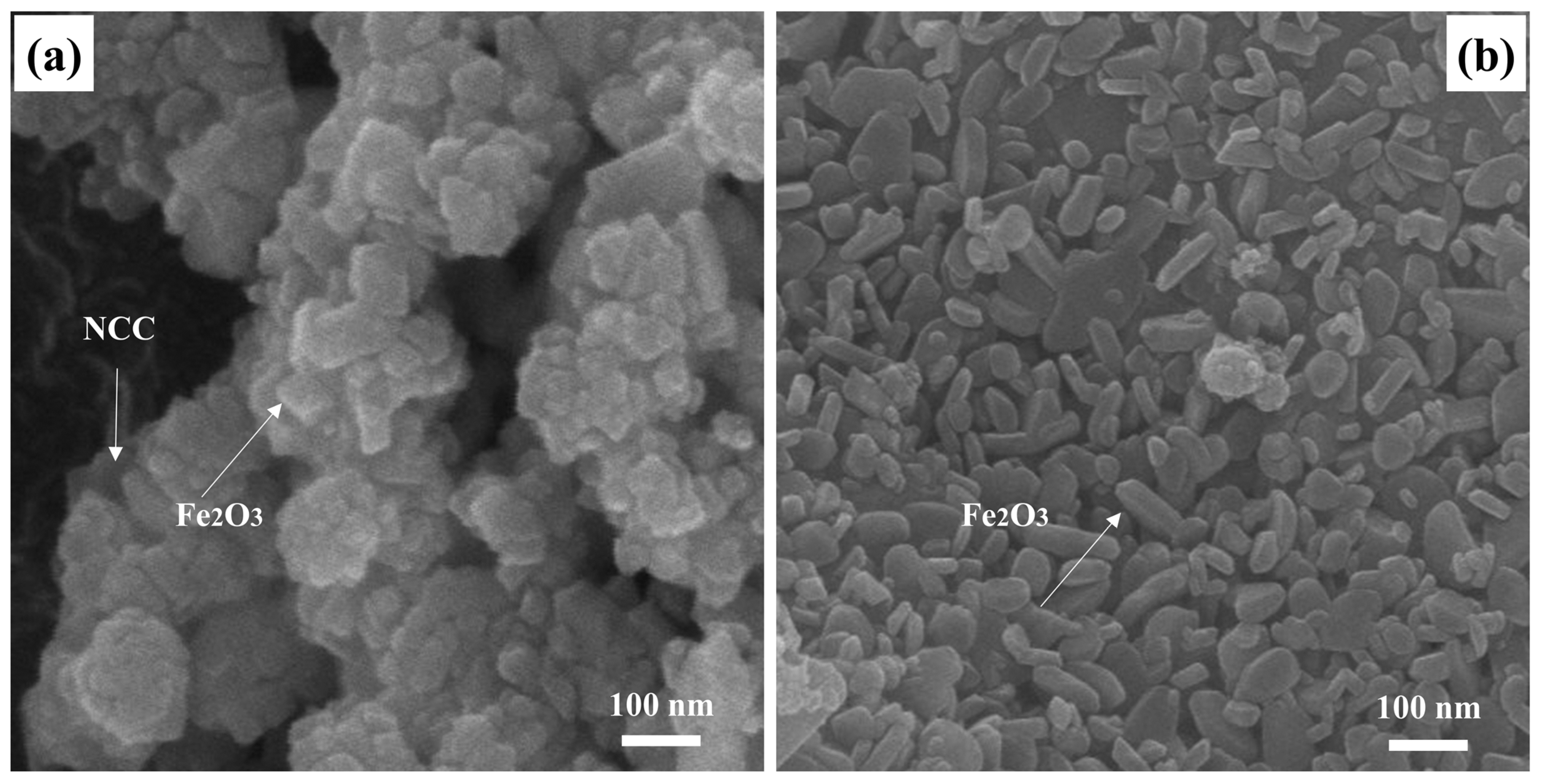 Polymers 16 00691 g002