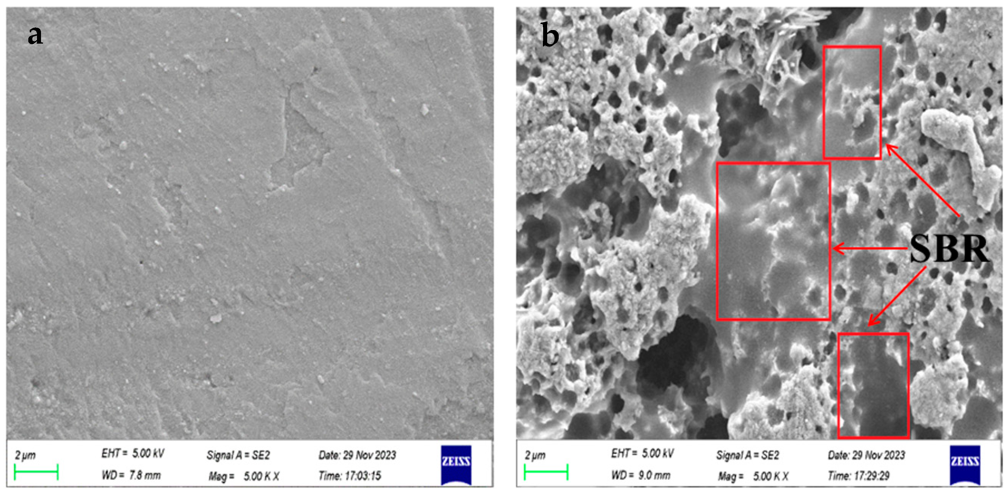 Polymers 16 00697 g006