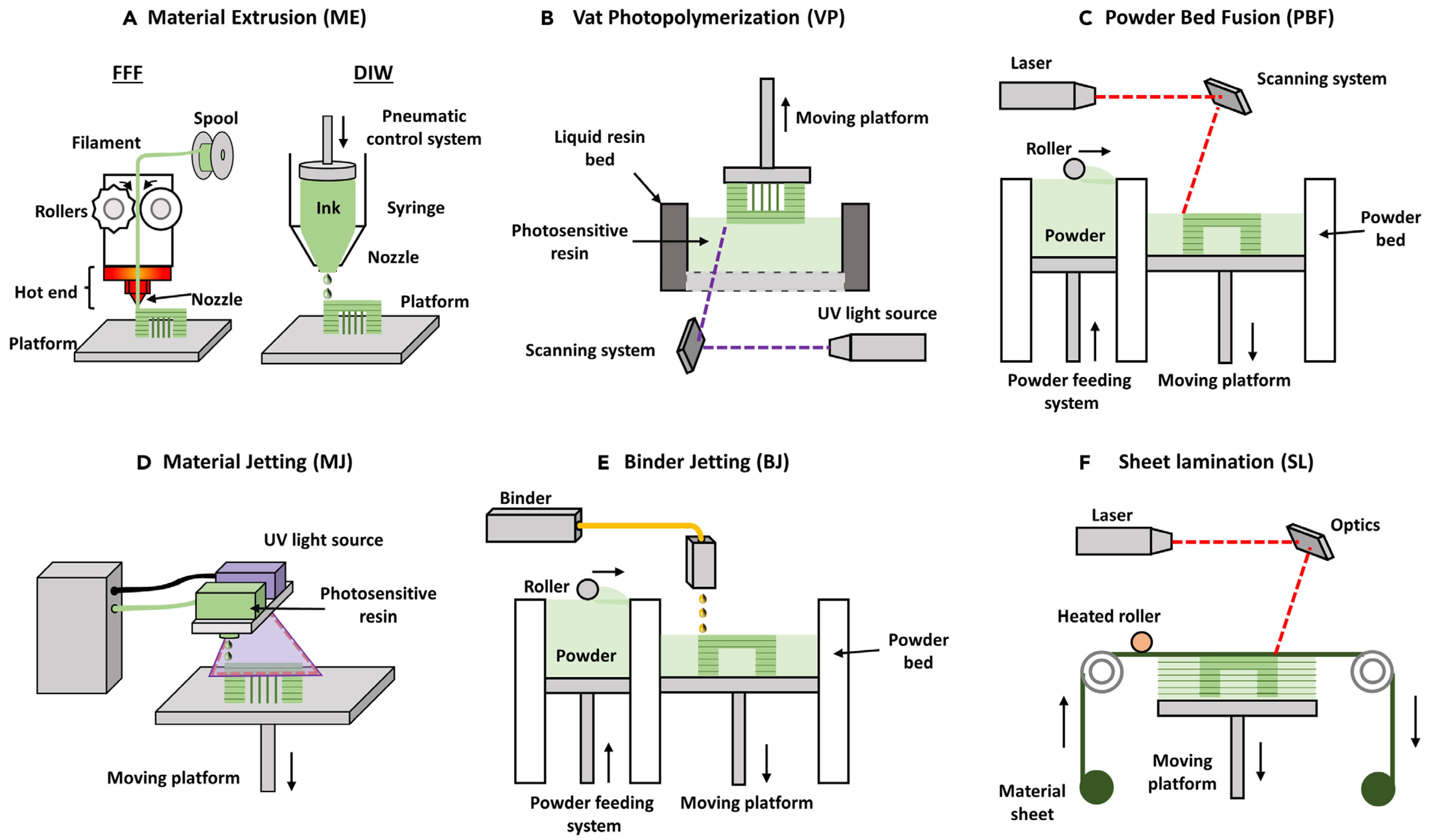 Polymers 16 00700 g002