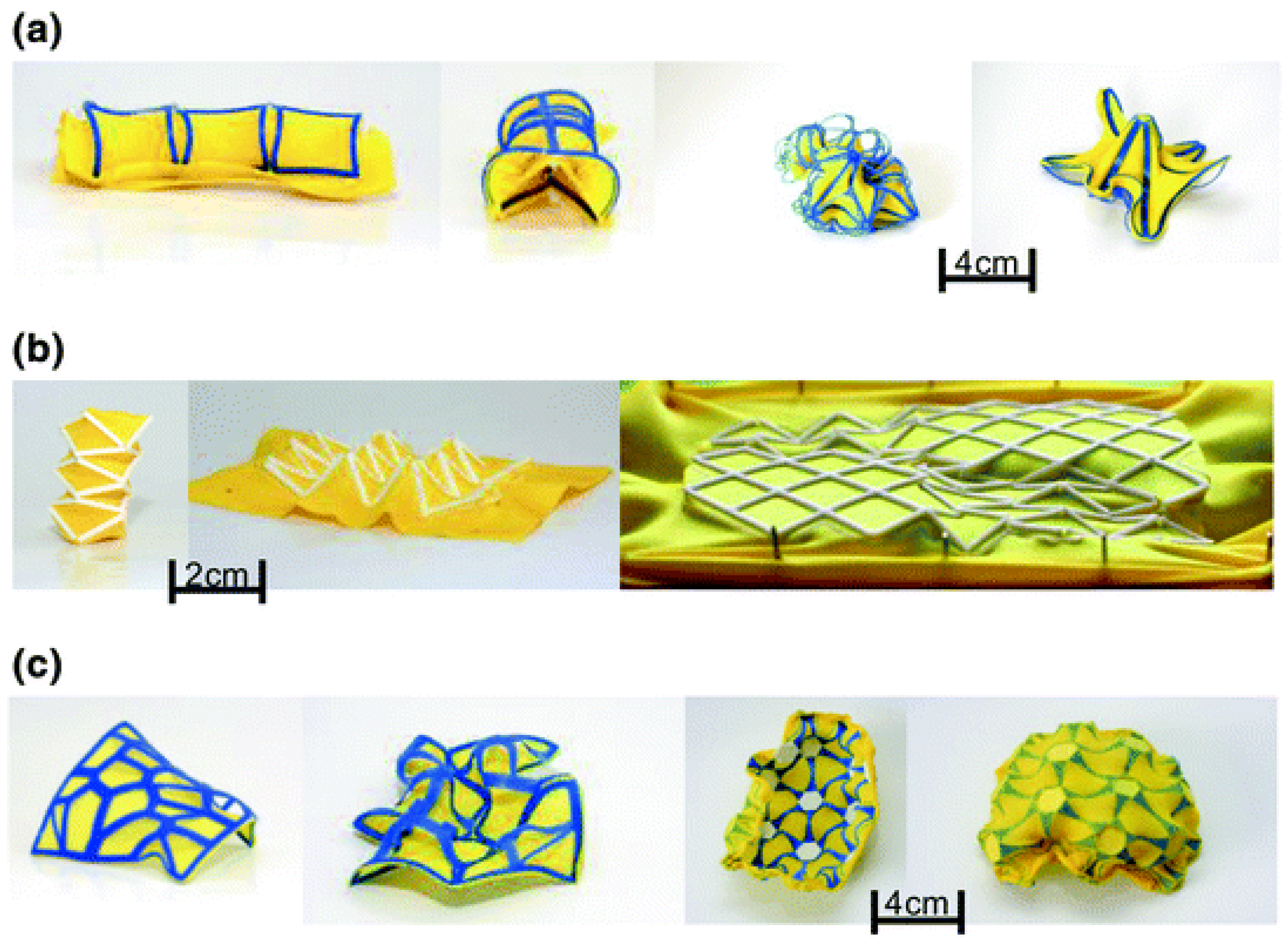 Polymers 16 00700 g006