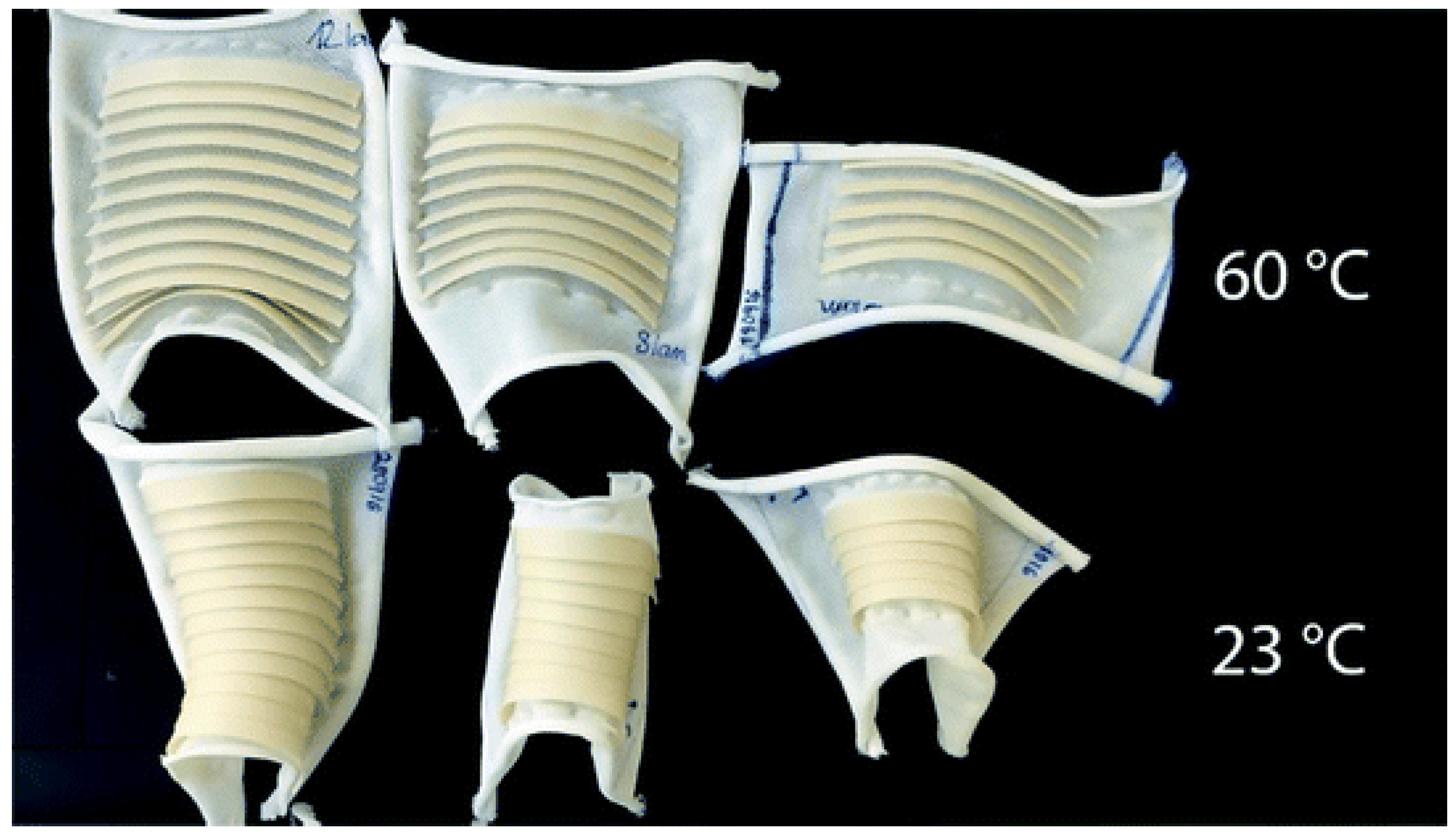 Polymers 16 00700 g007