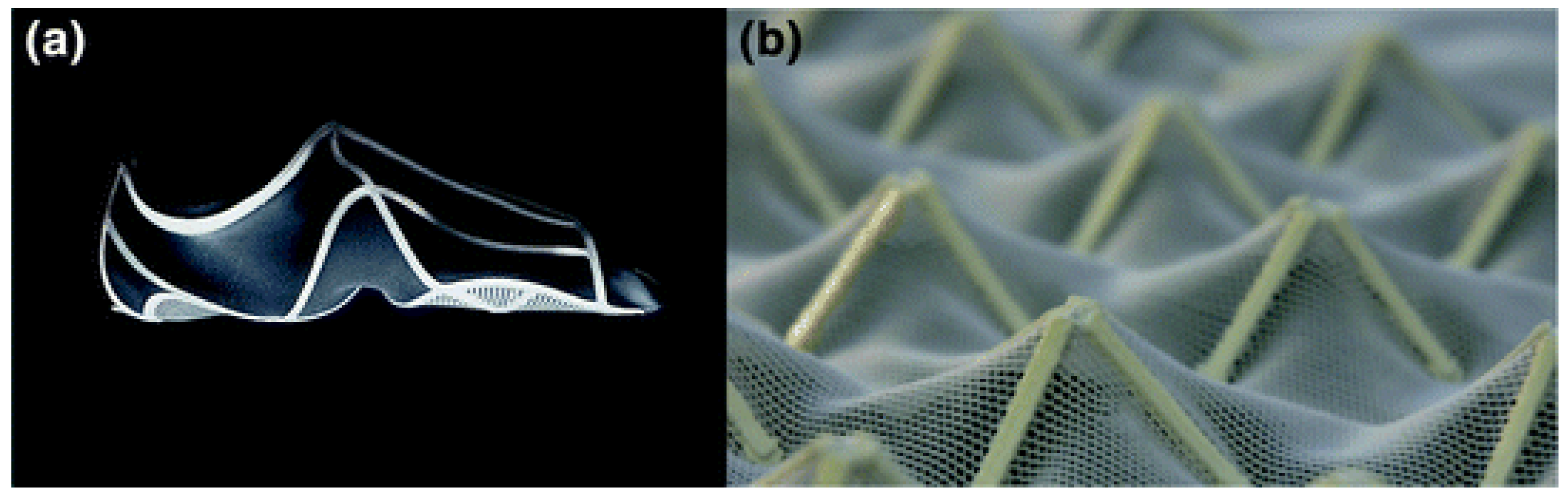 Polymers 16 00700 g009